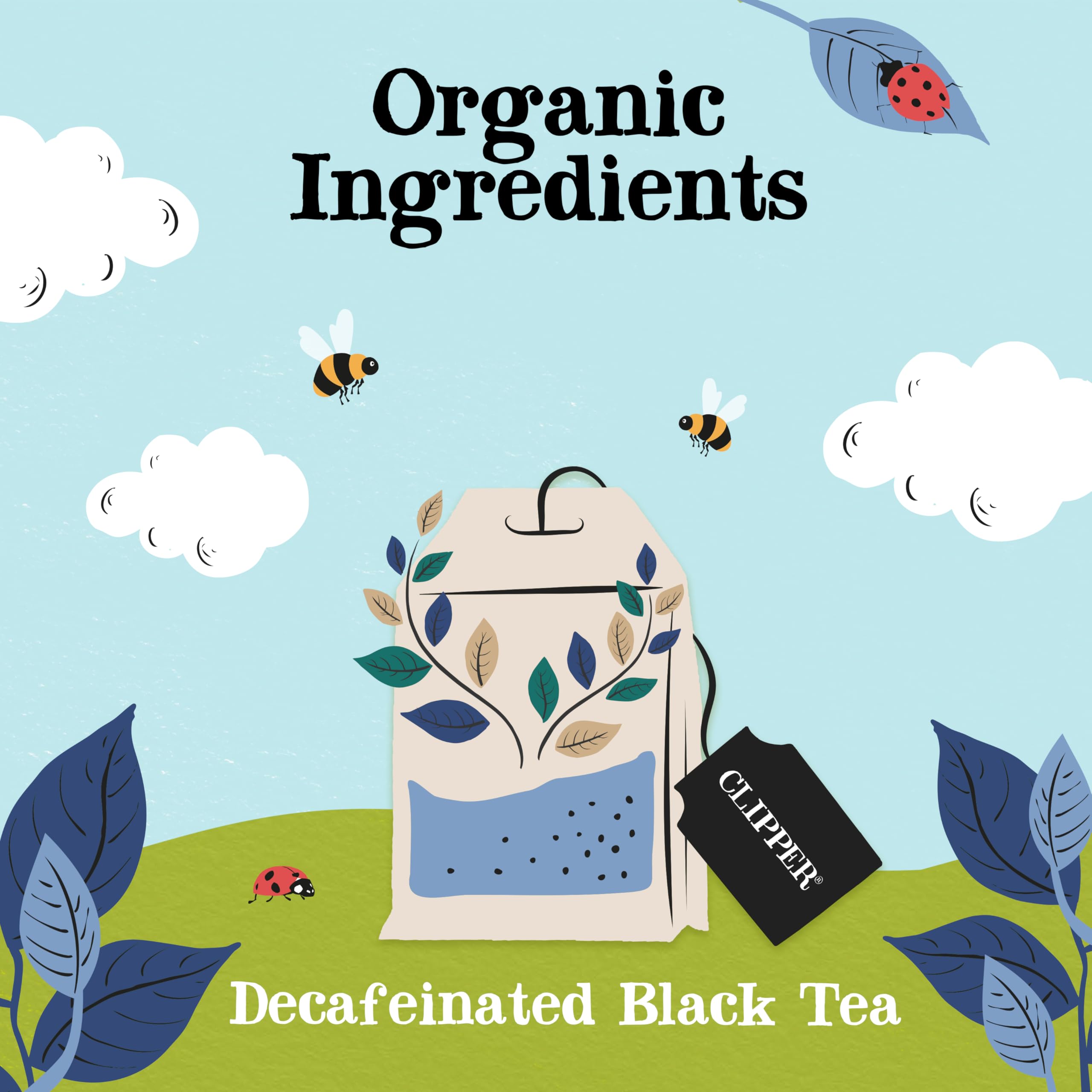Clipper Natural, Fair & Delicious Organic Everyday Decaf Black Tea Bags - 40 Count | Fairtrade | Compostable 3