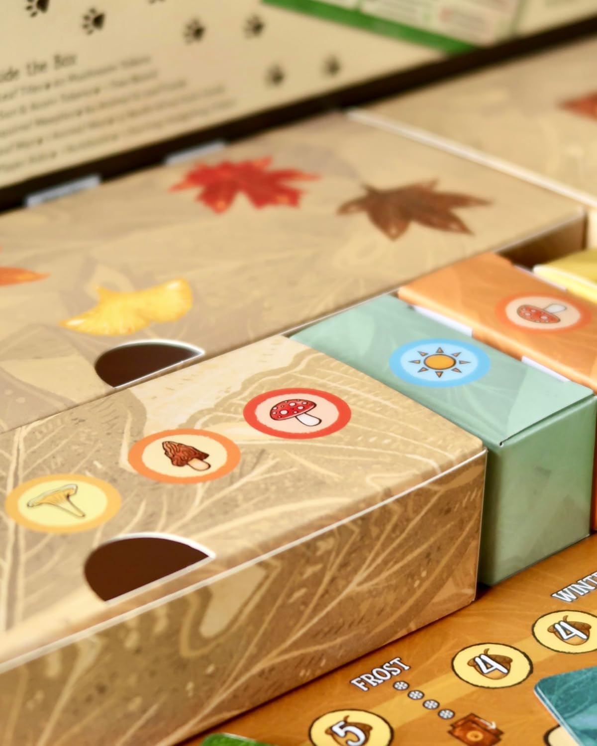 Weird City Games Leaf Family Card Game for Ages 10+ | 1-4 Players | 30-45 Minute Play Time