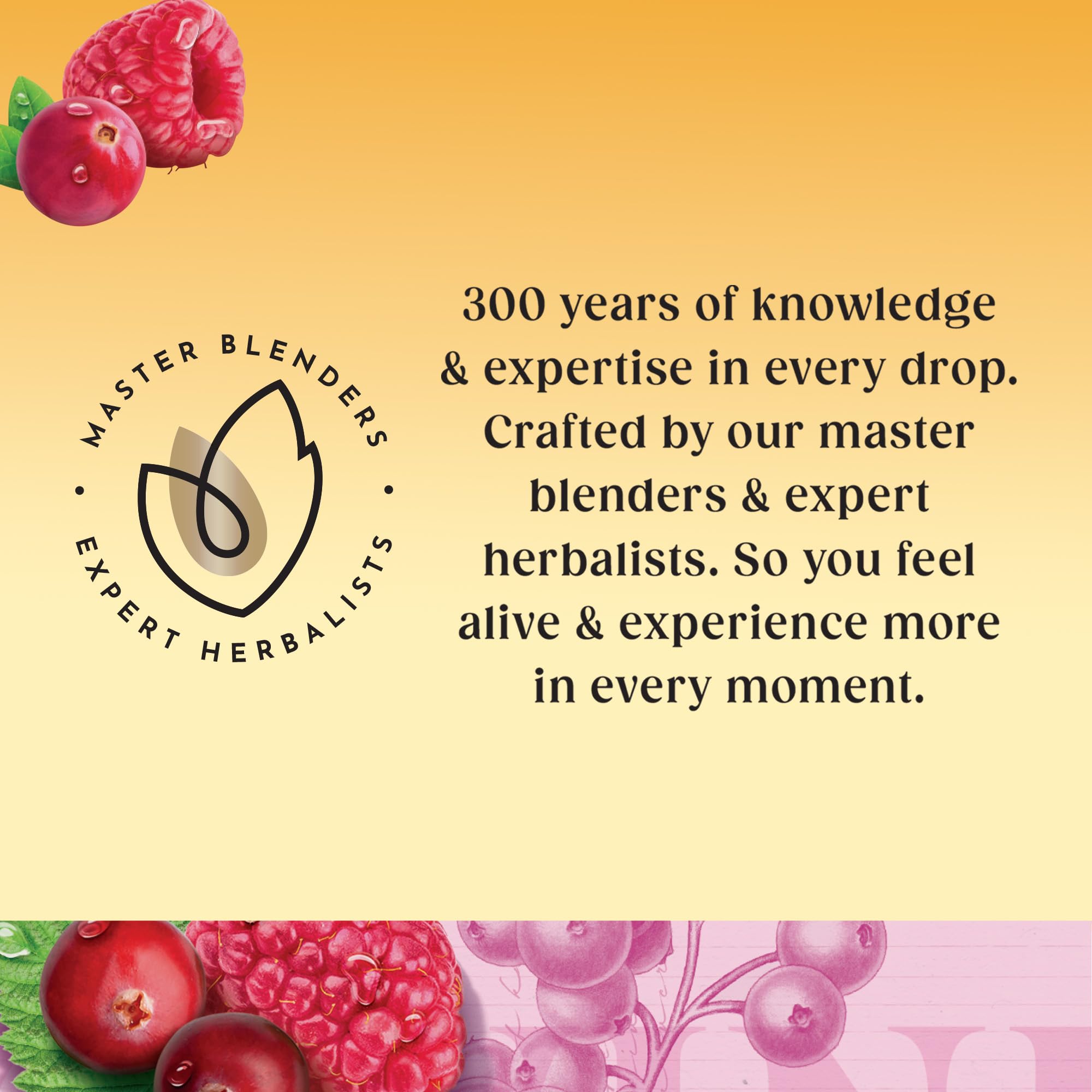 Twinings Cranberry & Raspberry Fruit Infusion Tea - 20 Biodegradable Teabags, Caffeine & Sugar Free 6