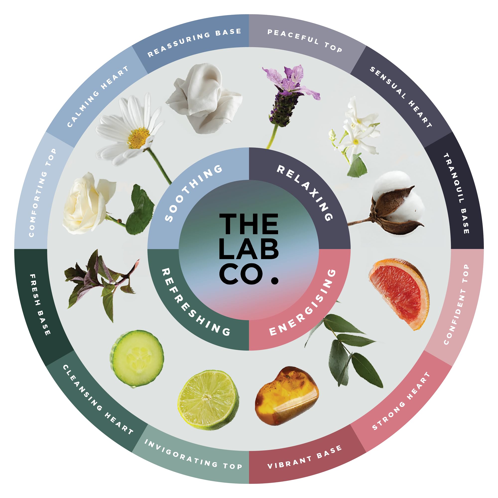 The Lab Co. - Laundry Detergent Strips (64 Loads, Cotton Lavender Jasmine) 8