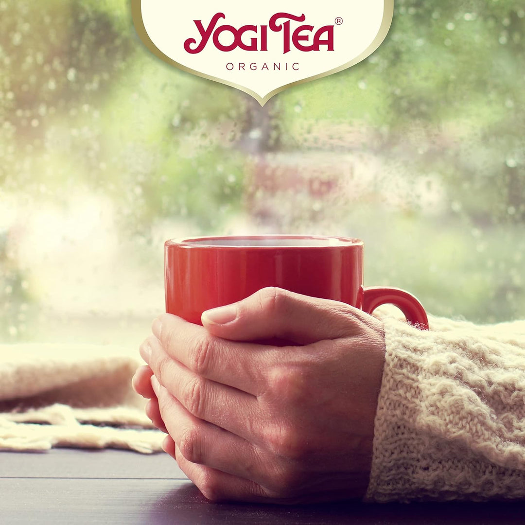 Yogi Tea - Sweet Chai Organic Herbal Tea, Caffeine Free, Blend of Anise, Fennel & Liquorice, 102 Tea Bags (6 x 17)
