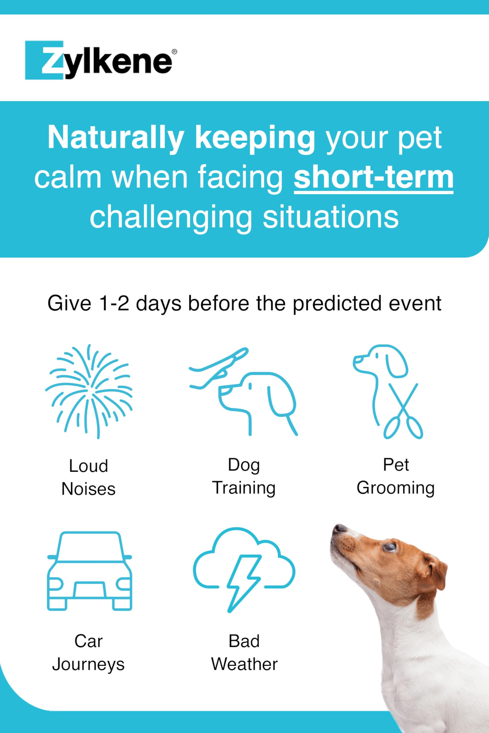 Zylkene Calming Chews for Small Dogs up to 10kg - 14 Chews | Promotes Relaxation 5