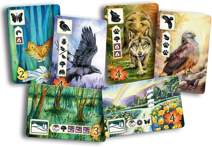 Rebel Centrum Meadow Board Game