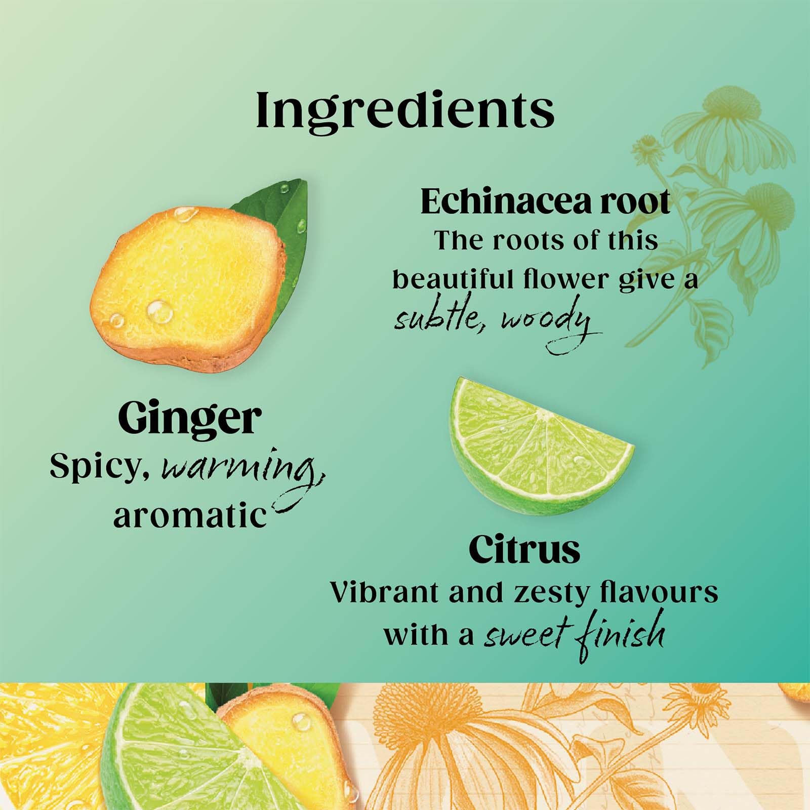 Twinings Superblends Defence Tea - Citrus & Ginger Green Tea Herbal Infusion | 20 Count (Pack of 4) 4
