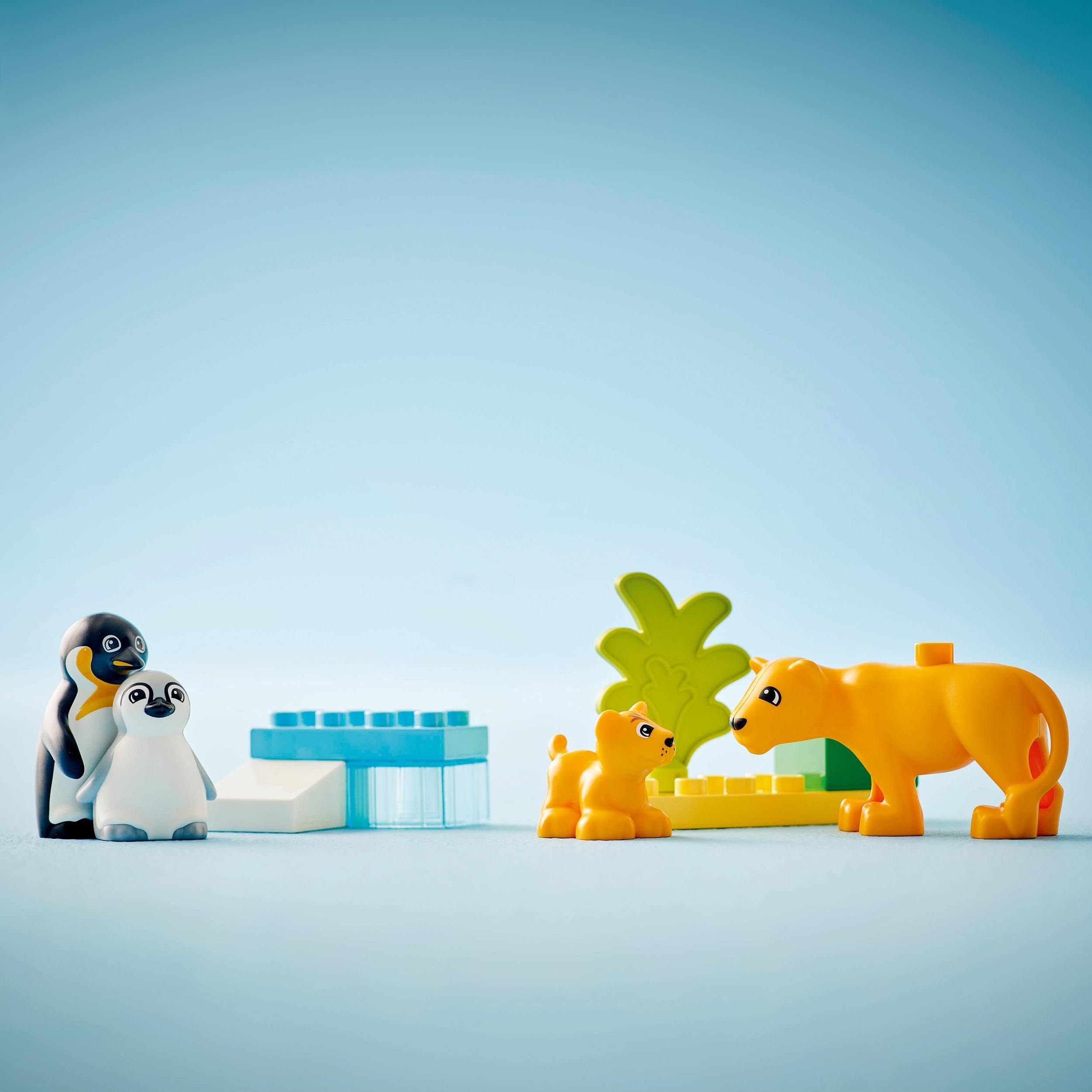 LEGO DUPLO Wild Animal Families: Penguins & Lions Educational Building Set for Toddlers 2+ 10