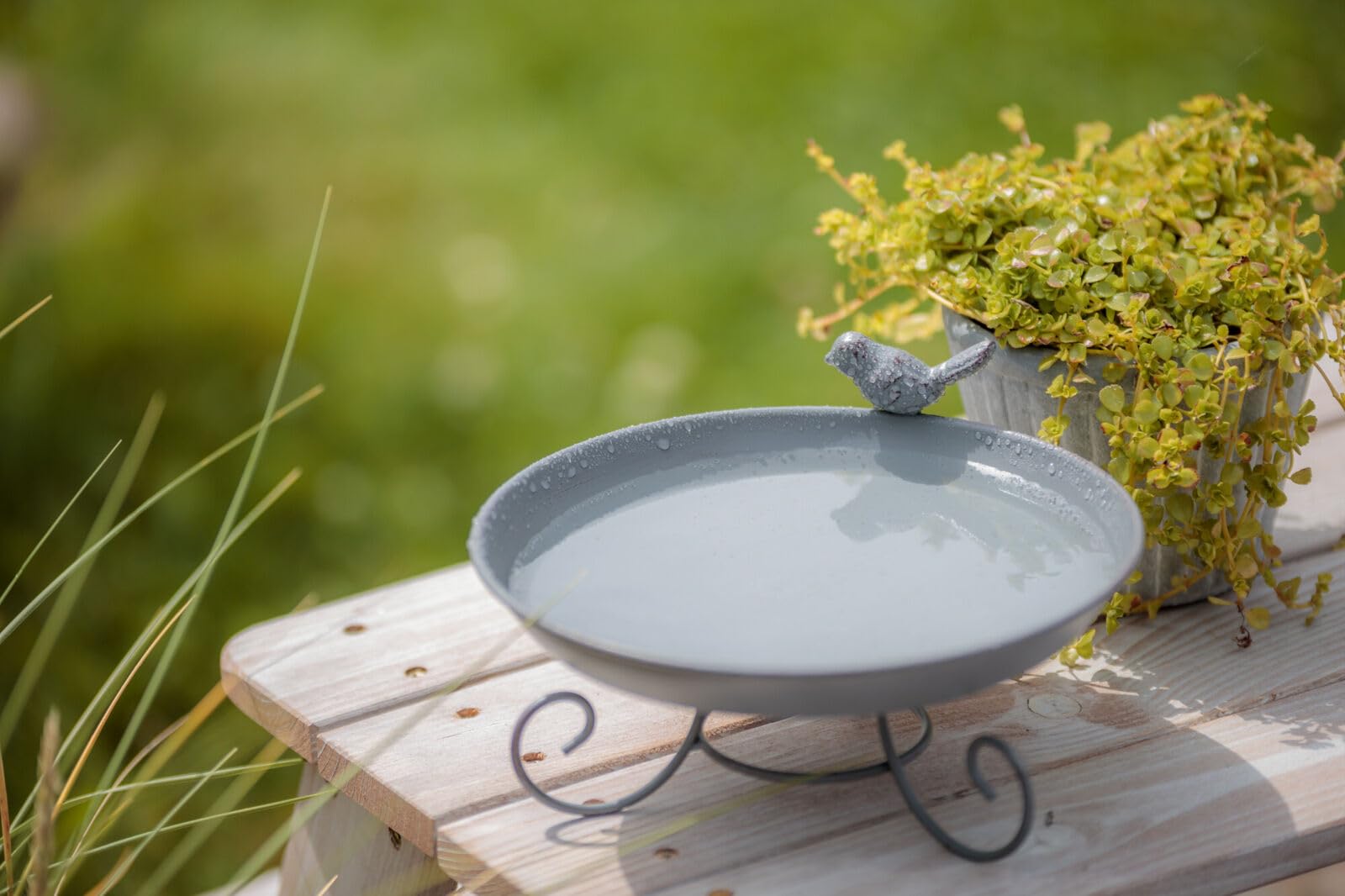 TRIXIE Standing Bird Bath - 800 ml | Powder-Coated Metal | Grey 5