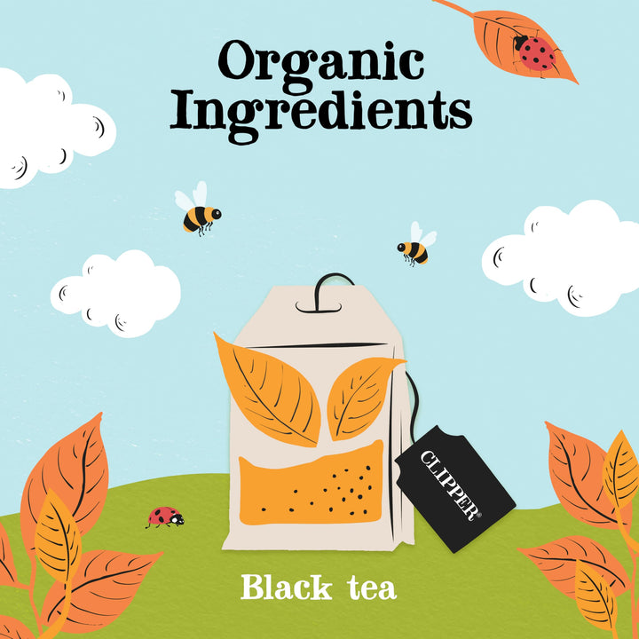 Clipper Fairtrade Everyday One Cup Teabags (440 Teabags)
