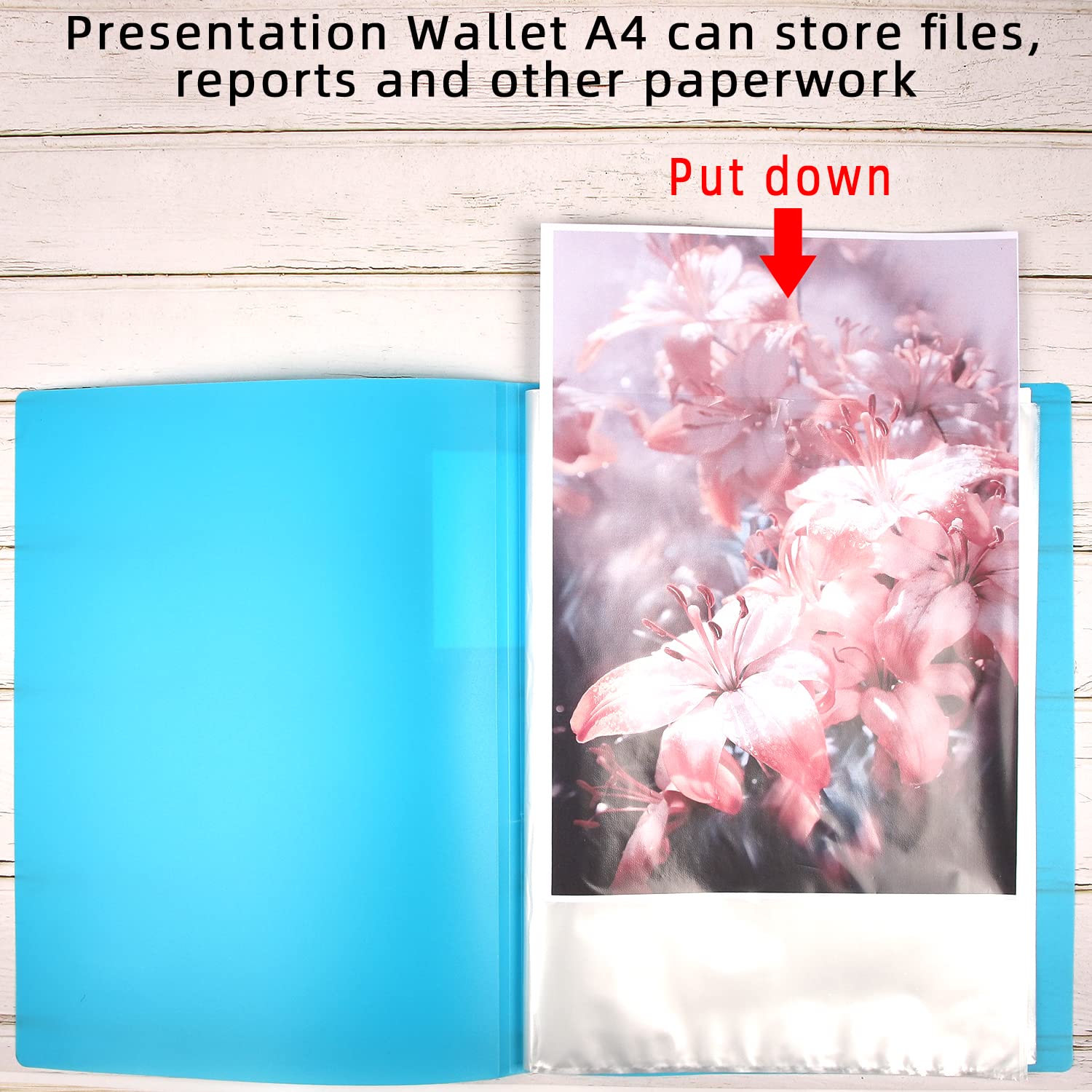 NORTHERN BROTHERS Presentation Display Book - A4 Folder with 30 Clear Pockets | Plastic | 6 Colours Available 5