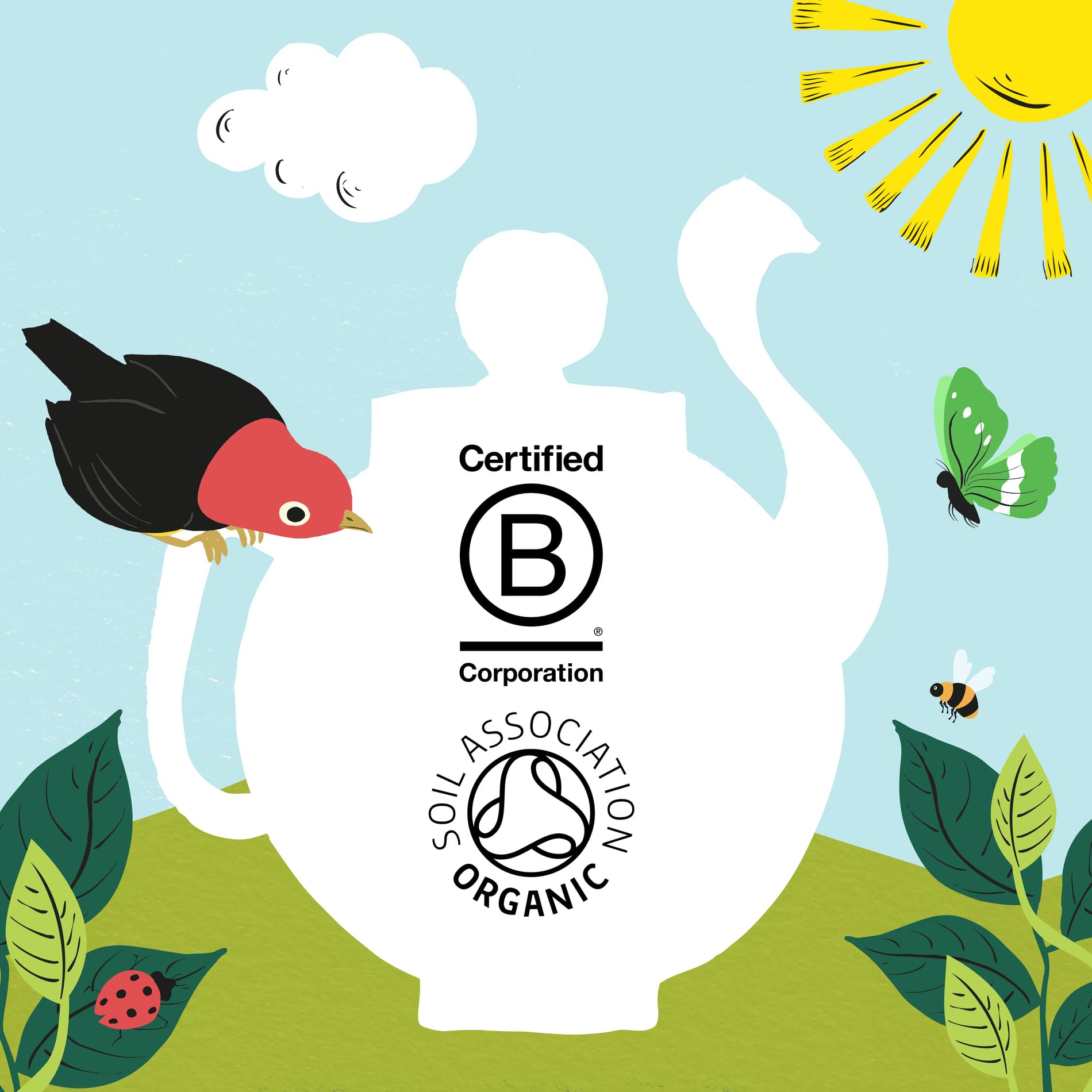 Clipper Organic Pure Green Tea Bags - Box of 40 Fairtrade & Biodegradable Tea Bags 13