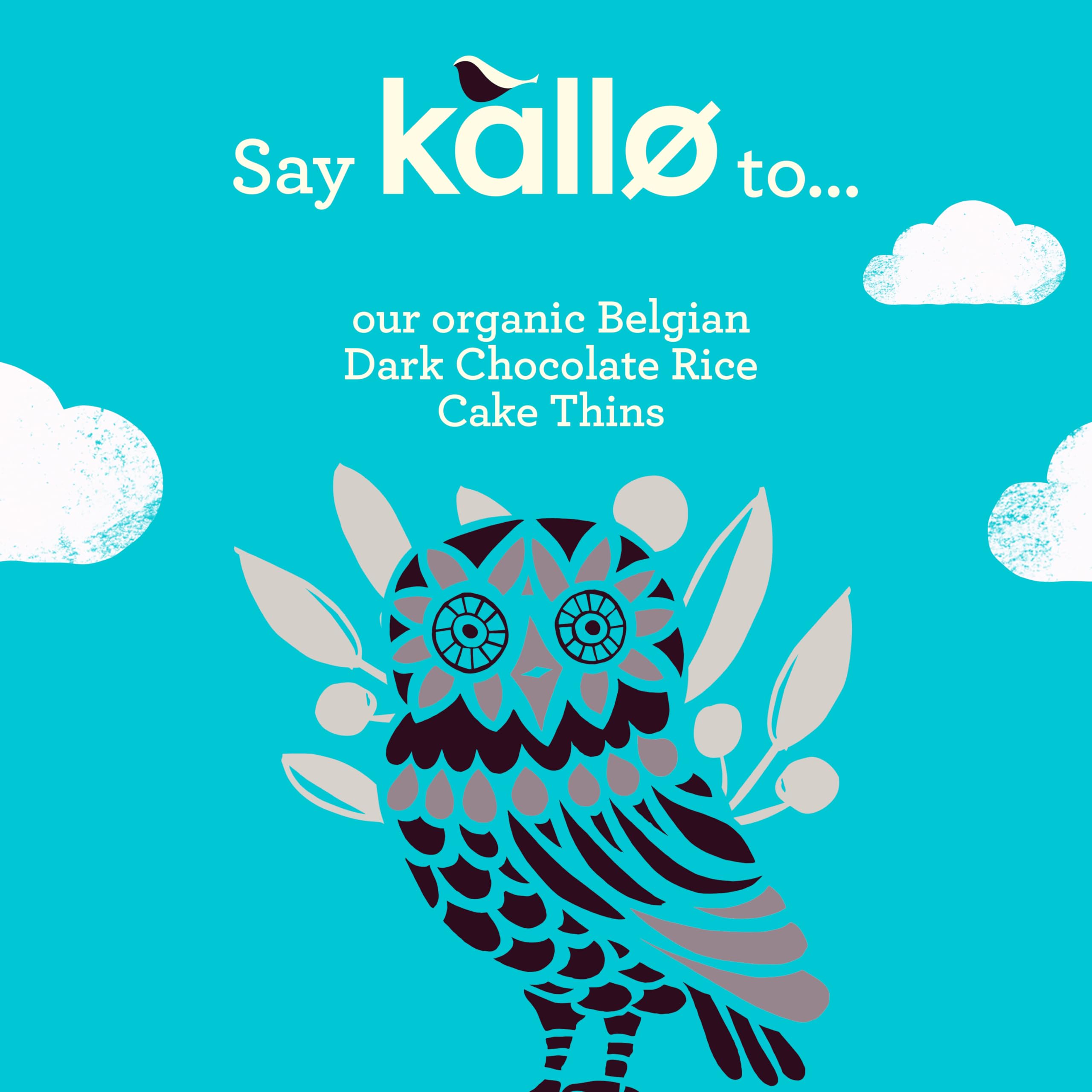 Kallo Organic Rice Cake Thins with Belgian Dark Chocolate | 75g | Gluten Free 3