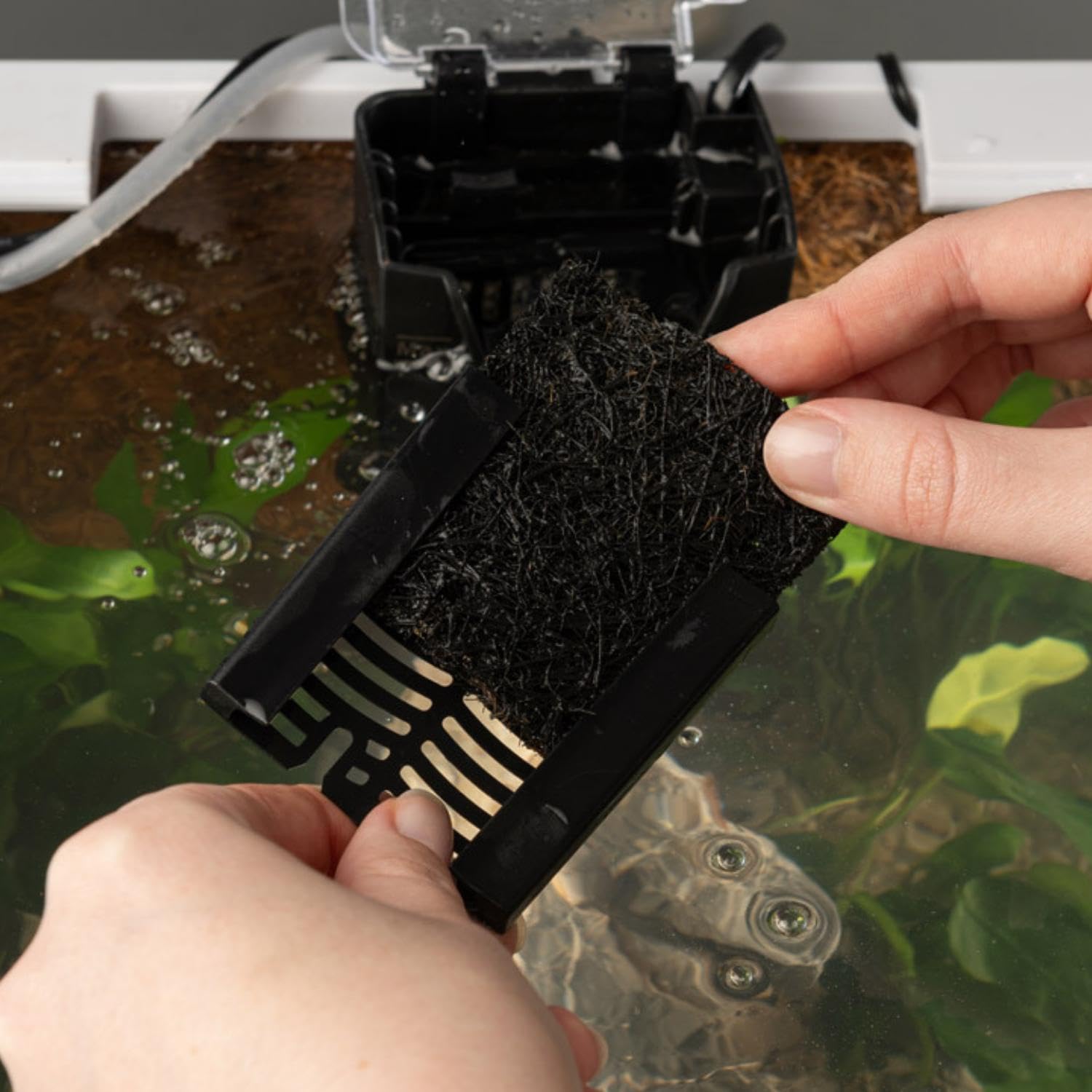 Interpet CF1 3 Month Filter Service Pack - Clears Water & Reduces Algae 3