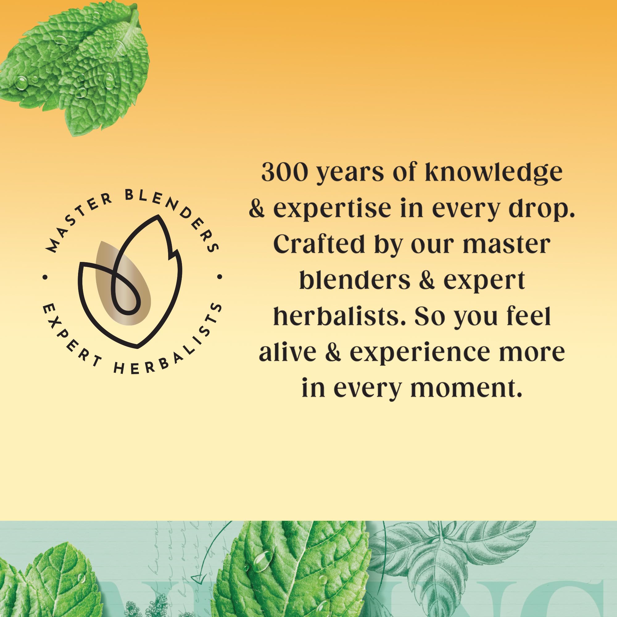 Twinings Pure Peppermint 80 Tea Bags, 160g - Naturally Caffeine Free Herbal Tea 12