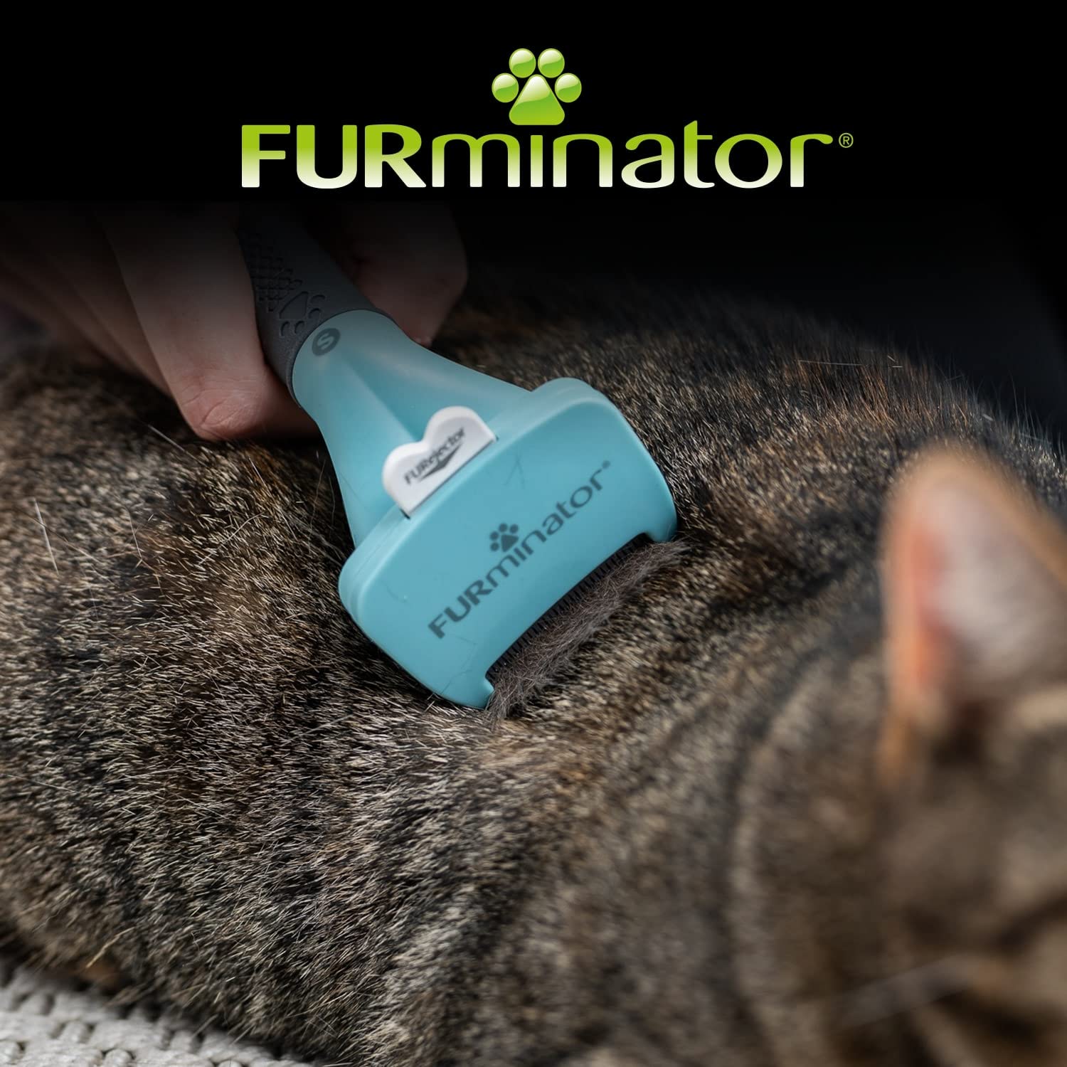 FURminator Undercoat deShedding Tool - Small Short Hair Cats Under 4.5 kg | Undercoat Removal 3