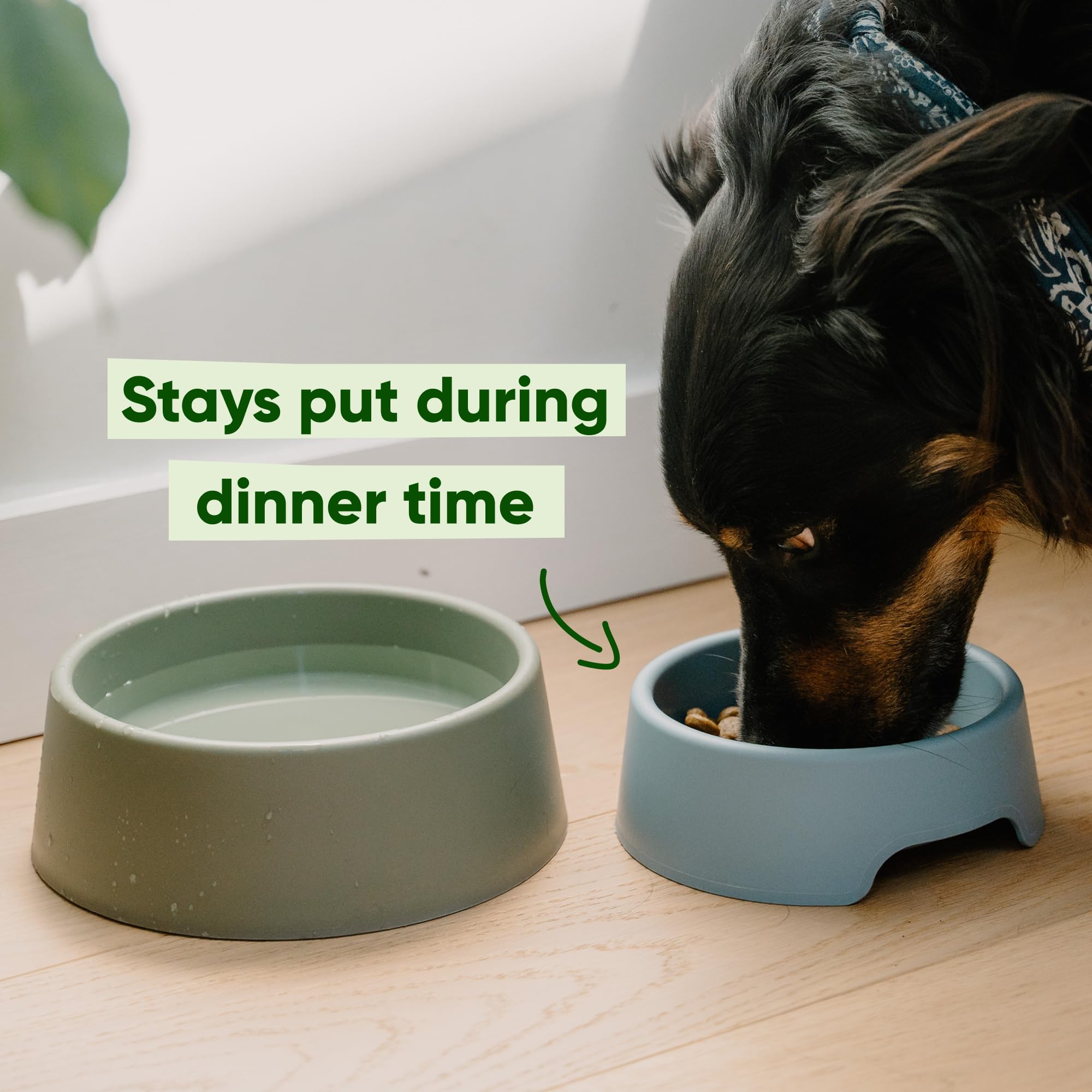 Beco Steady Dog Bowl - Recycled Plastic, Non-Slip Base | Small Size | Coastal Blue 4