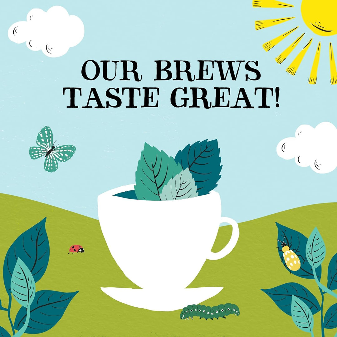 Clipper - Organic Peppermint Tea Bags | 250 Individually Wrapped Fairtrade Herbal Infusion