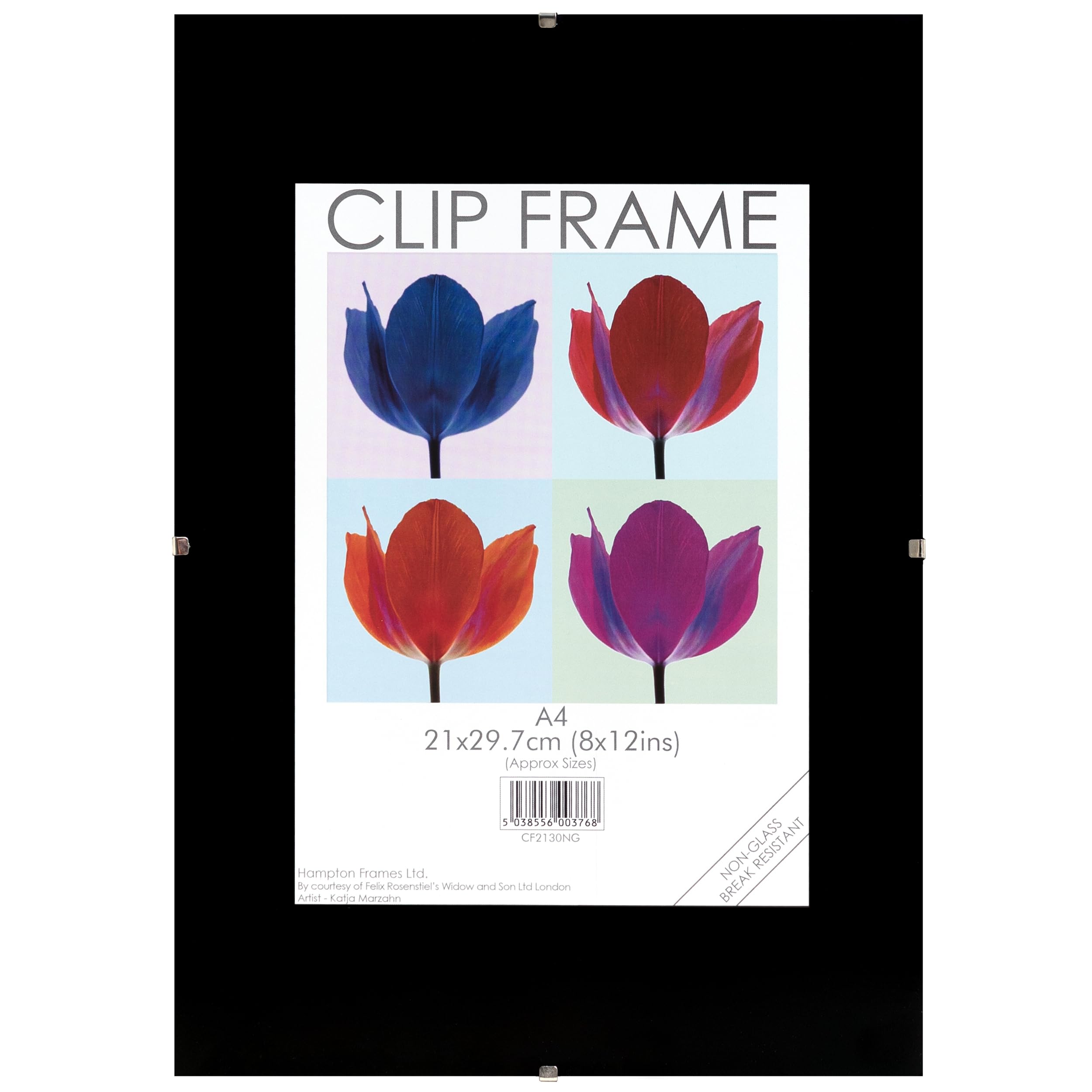 Hampton Frames CLIP Photo Poster Display Clip Frame - Frameless A4 (21x30cm) Clear Plastic CF2130NG 1