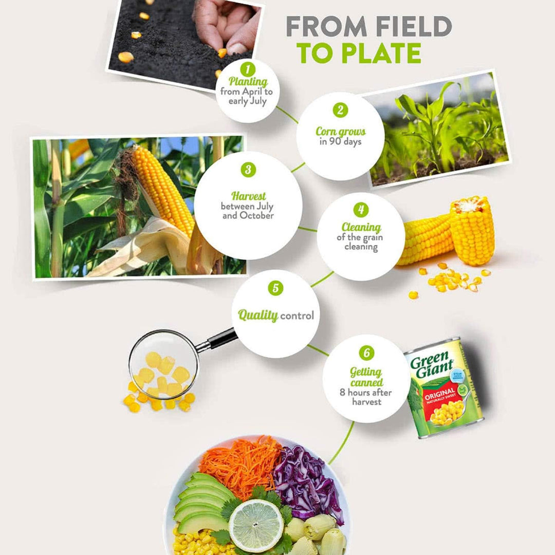 Green Giant - Original Sweetcorn 340g Tinned Corn with No Added Ingredients