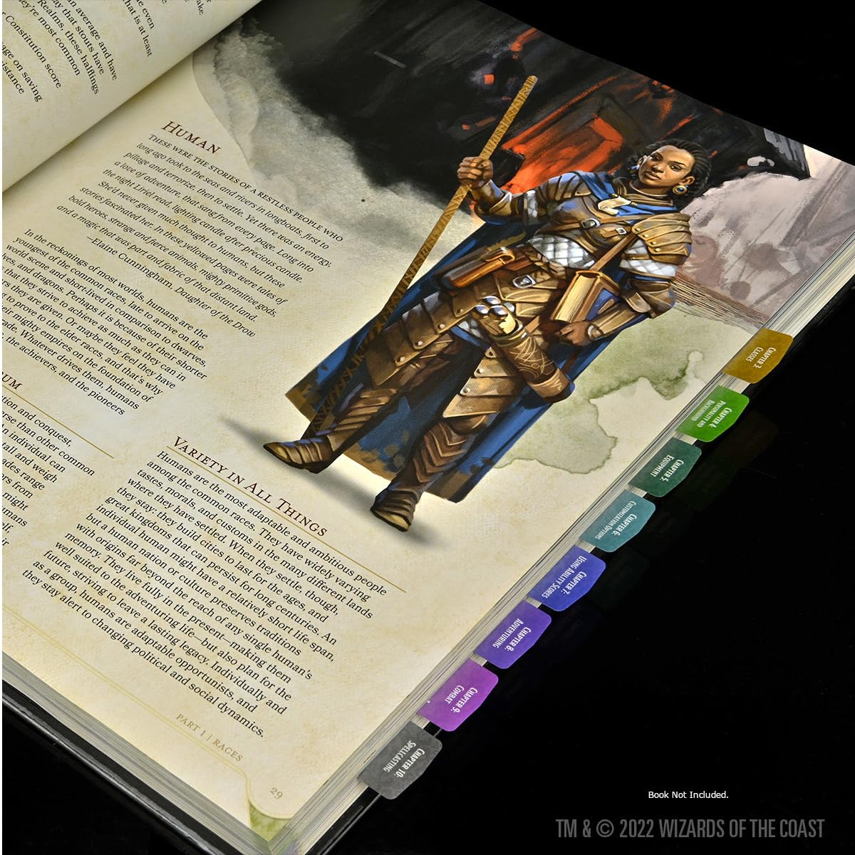 WizKids D&D Player's Handbook Book Tabs RPG Accessory | 168 Acrylic Tabs 7