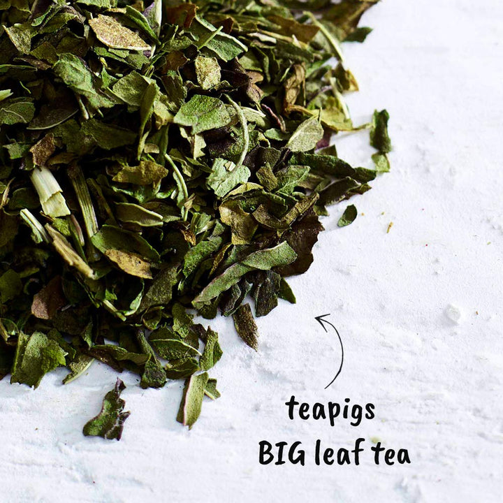 teapigs Peppermint Tea - Caffeine-Free Loose Leaf Herbal Tea, 100g