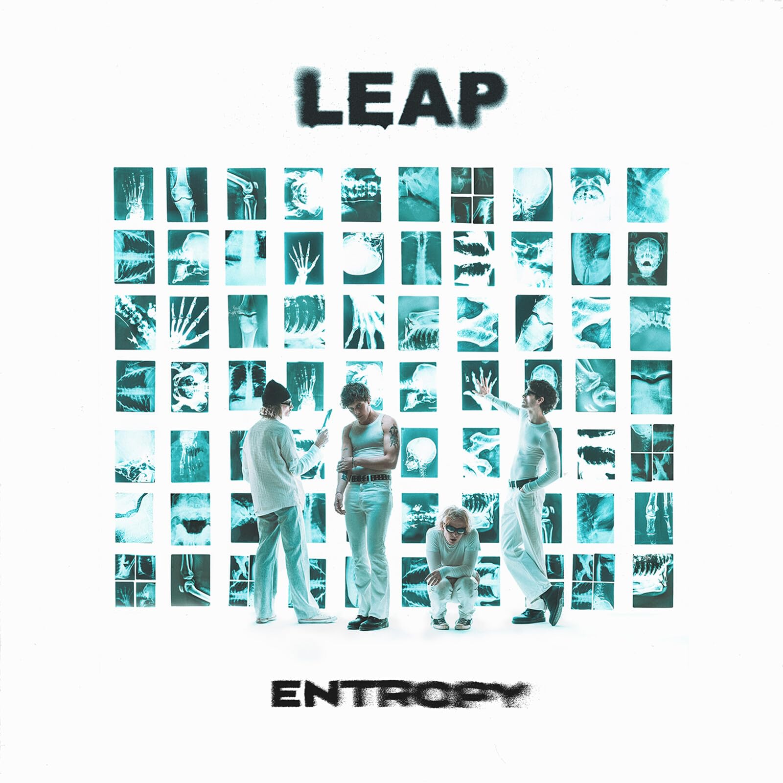 LEAP - Entropy [Vinyl]