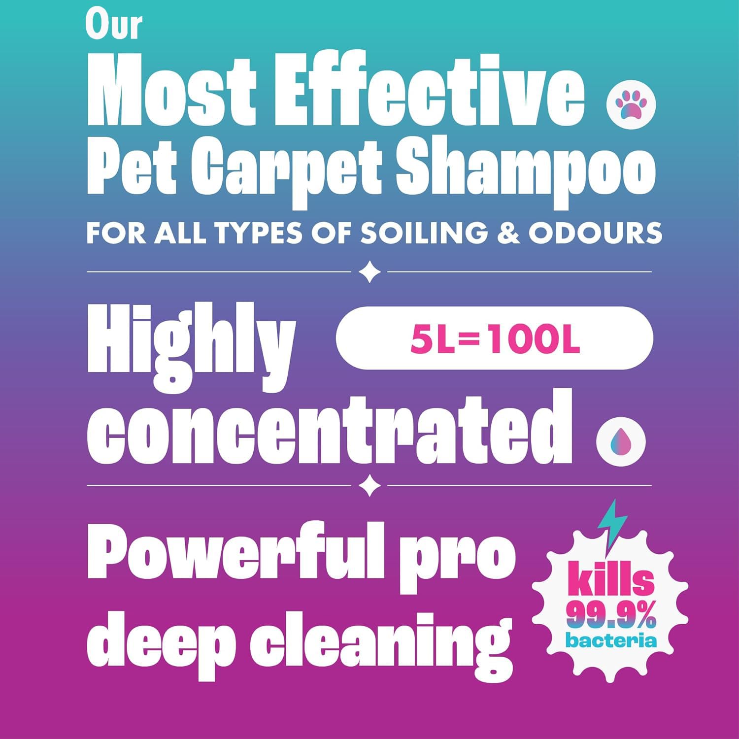 Dirtbusters Pet Pro Antibacterial Carpet Cleaner Shampoo - Kills 99.99% Bacteria | 1L Liquid 2
