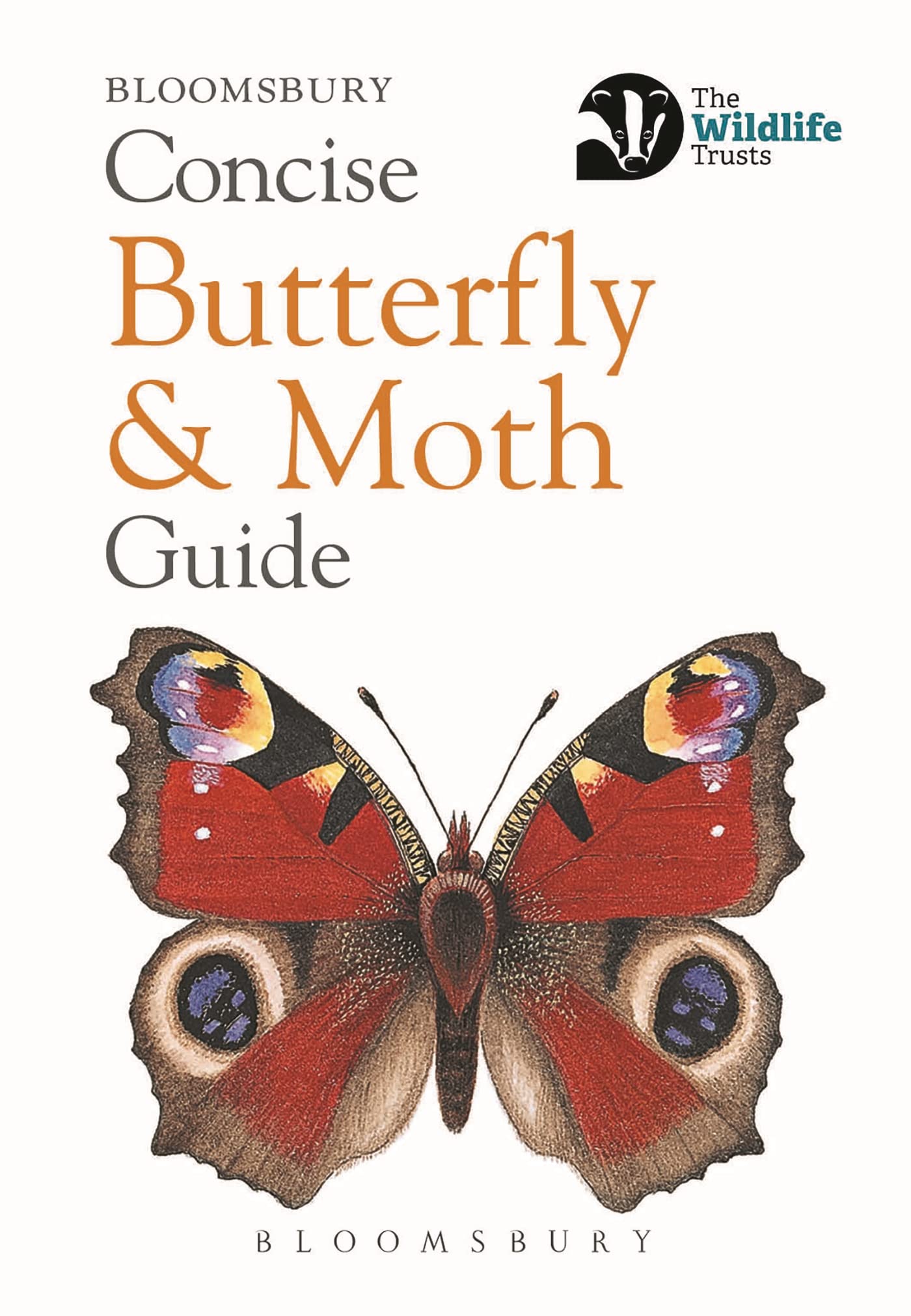 Bloomsbury Concise Butterfly and Moth Guide - 150 Species | Paperback | 192 Pages 1