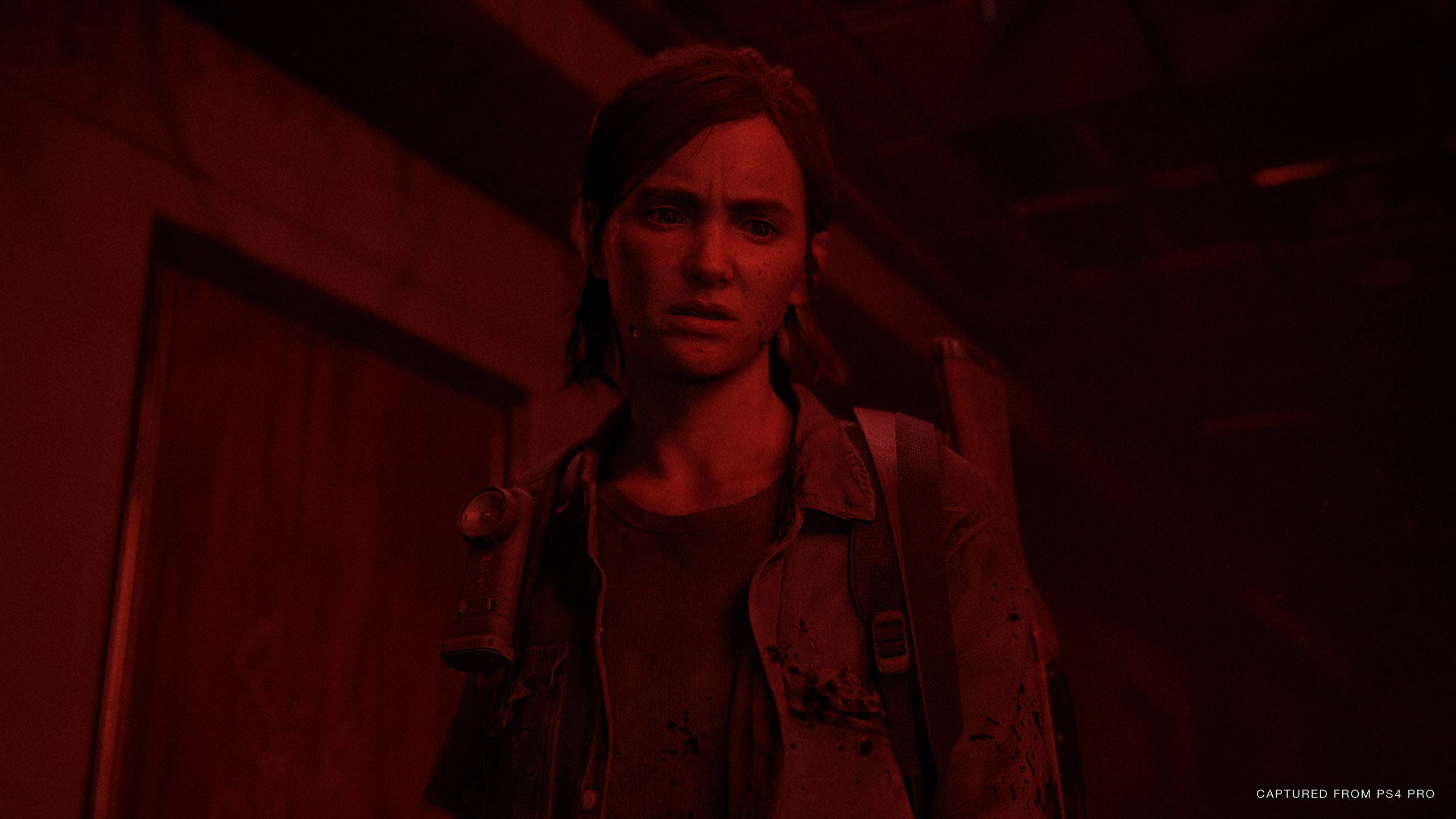 The Last of Us Part II - PS4 3