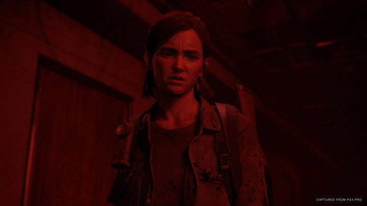 Der Letzte von uns Teil II (PS4)