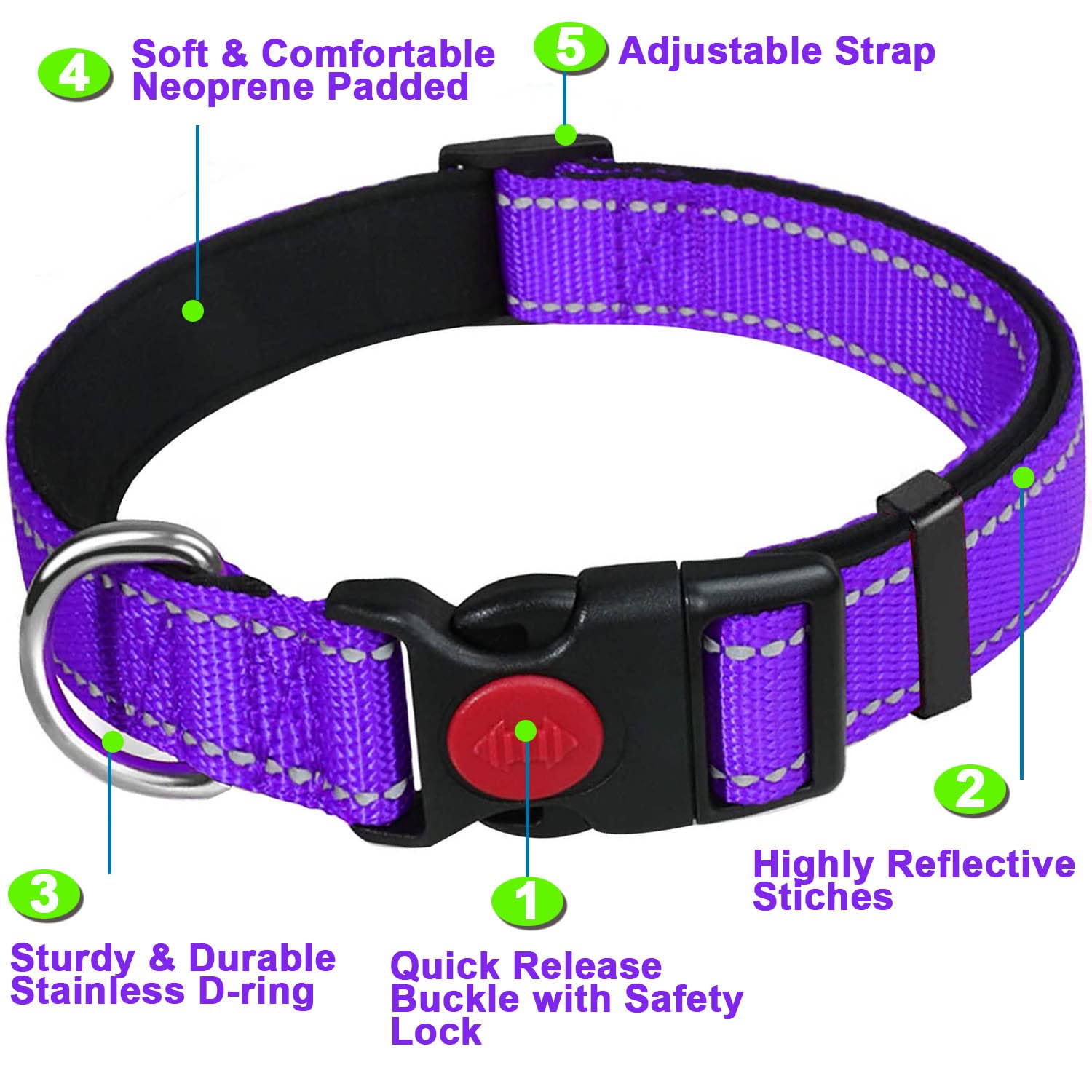 ATETEO Adjustable Dog Collar - Padded Neoprene, Reflective Straps, Quick Release Buckle, Purple, Size M 2