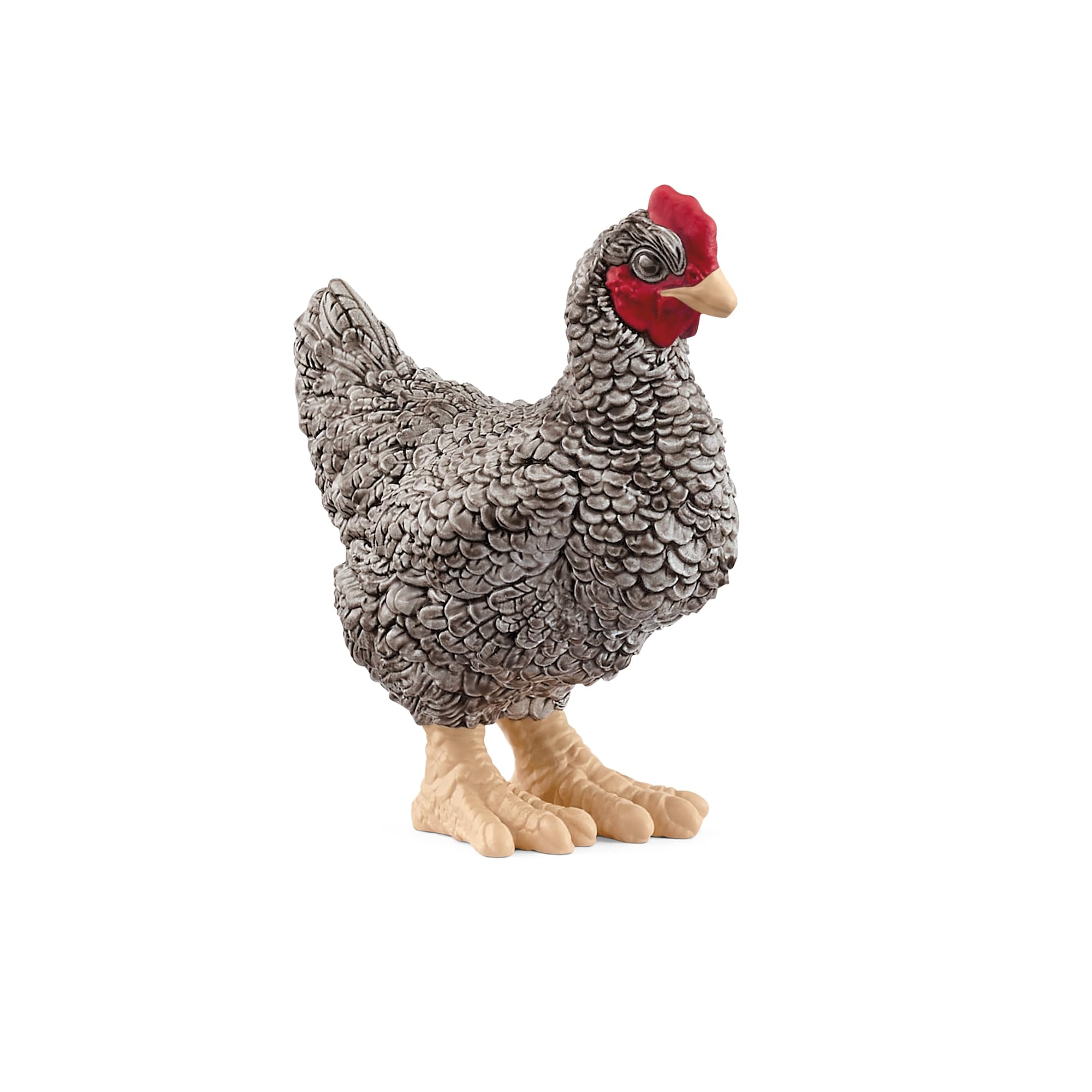 Schleich FARM WORLD Plymouth Rock Chicken Toy Figure | 2.36 inches | Ages 3+ | Multicoloured 1