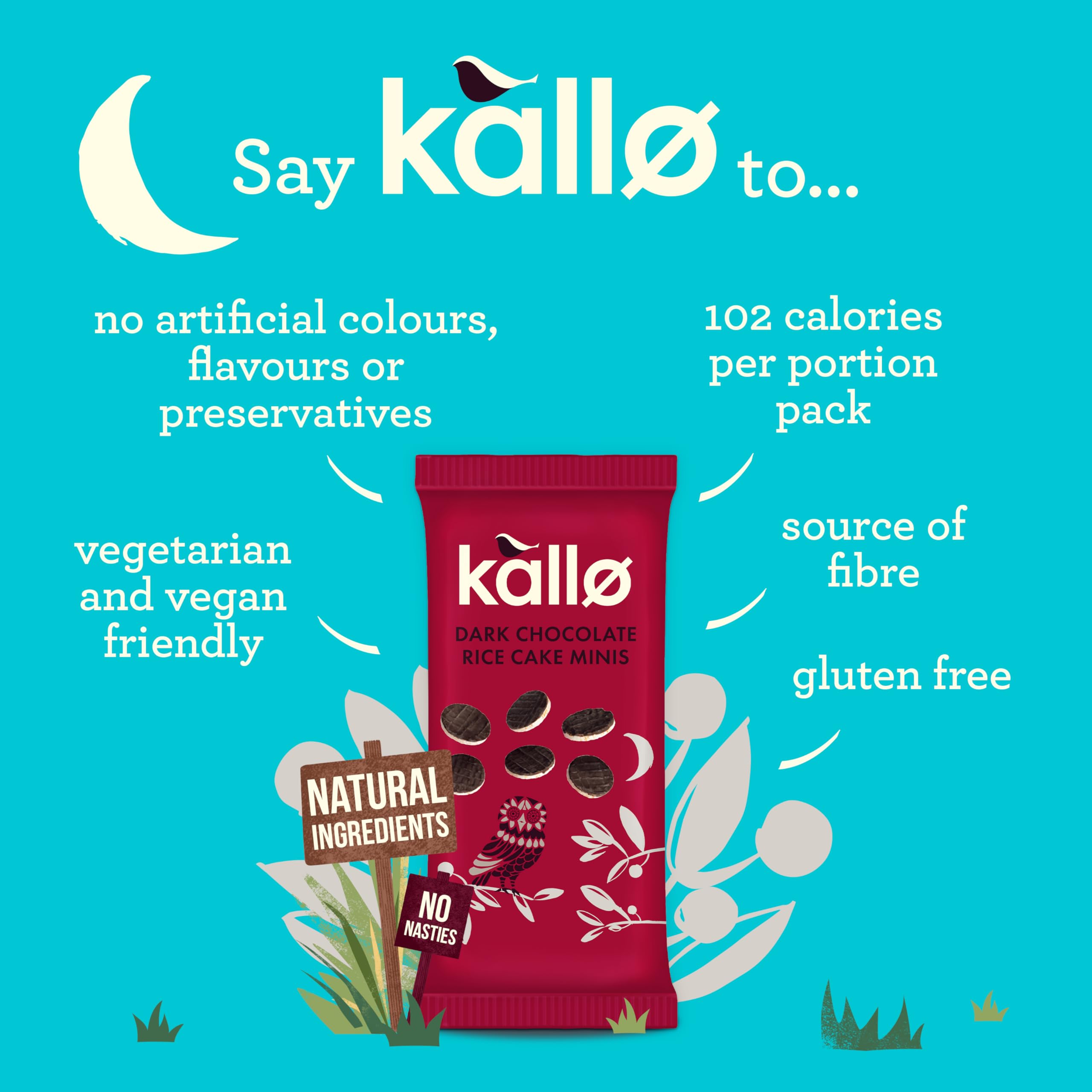 Kallo Dark Chocolate Mini Rice Cakes - Gluten Free, Vegetarian | 9 x 84g Packs 2