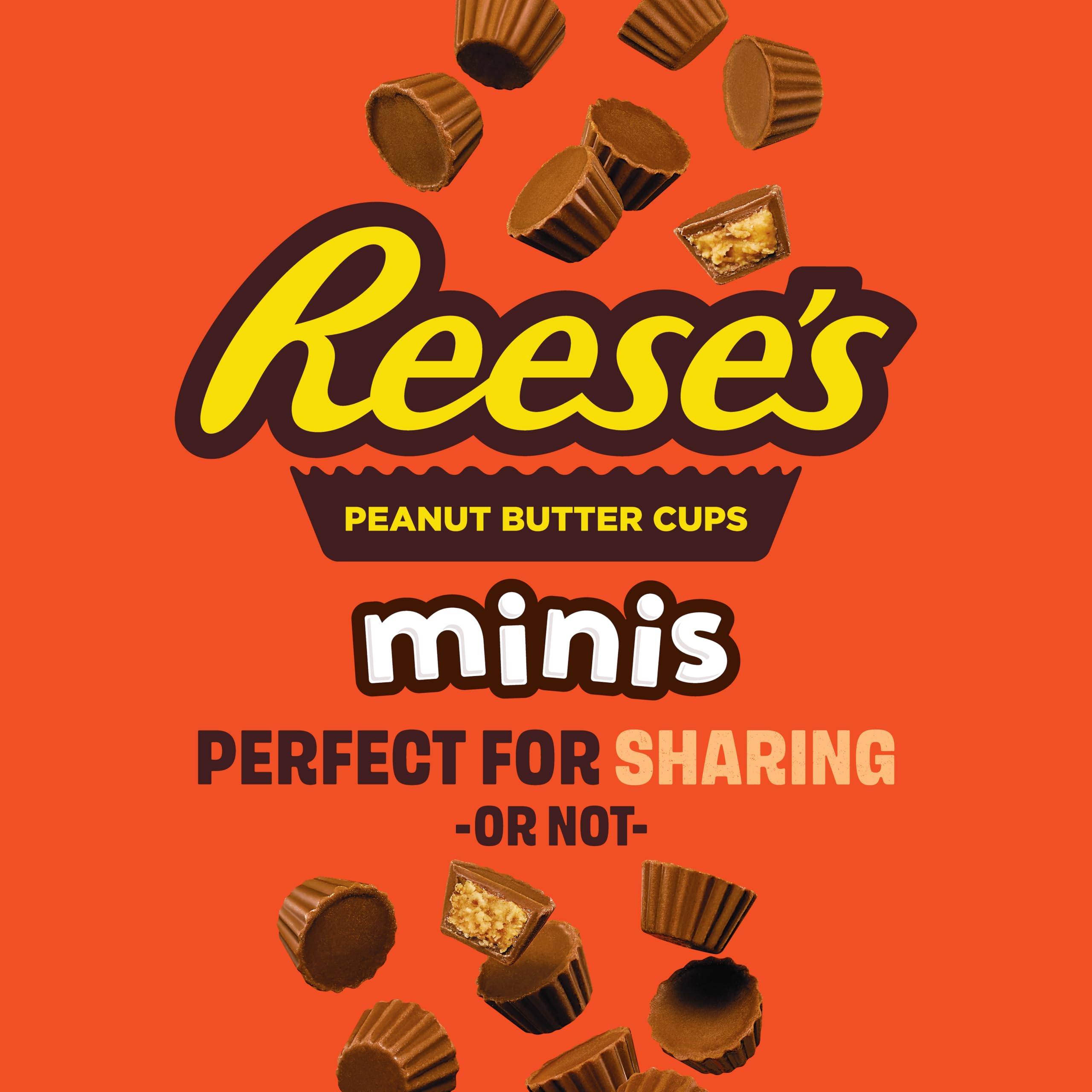Reese's Minis More to Share Pouch - Peanut Butter & Milk Chocolate Candy | 185g