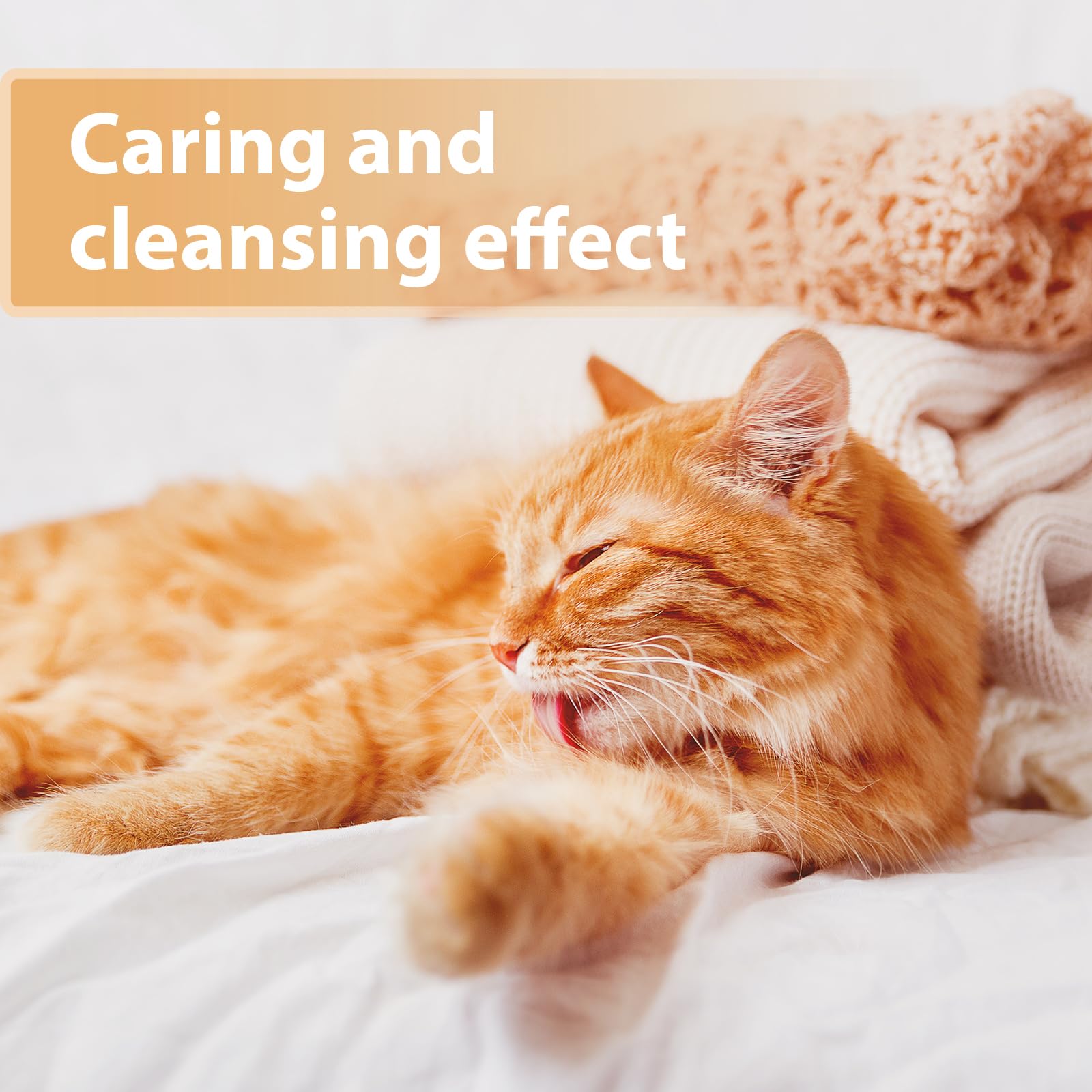 Felisept Wound Spray for Cats - 75ml Antiseptic | Veterinarian Recommended | Made in Germany 3