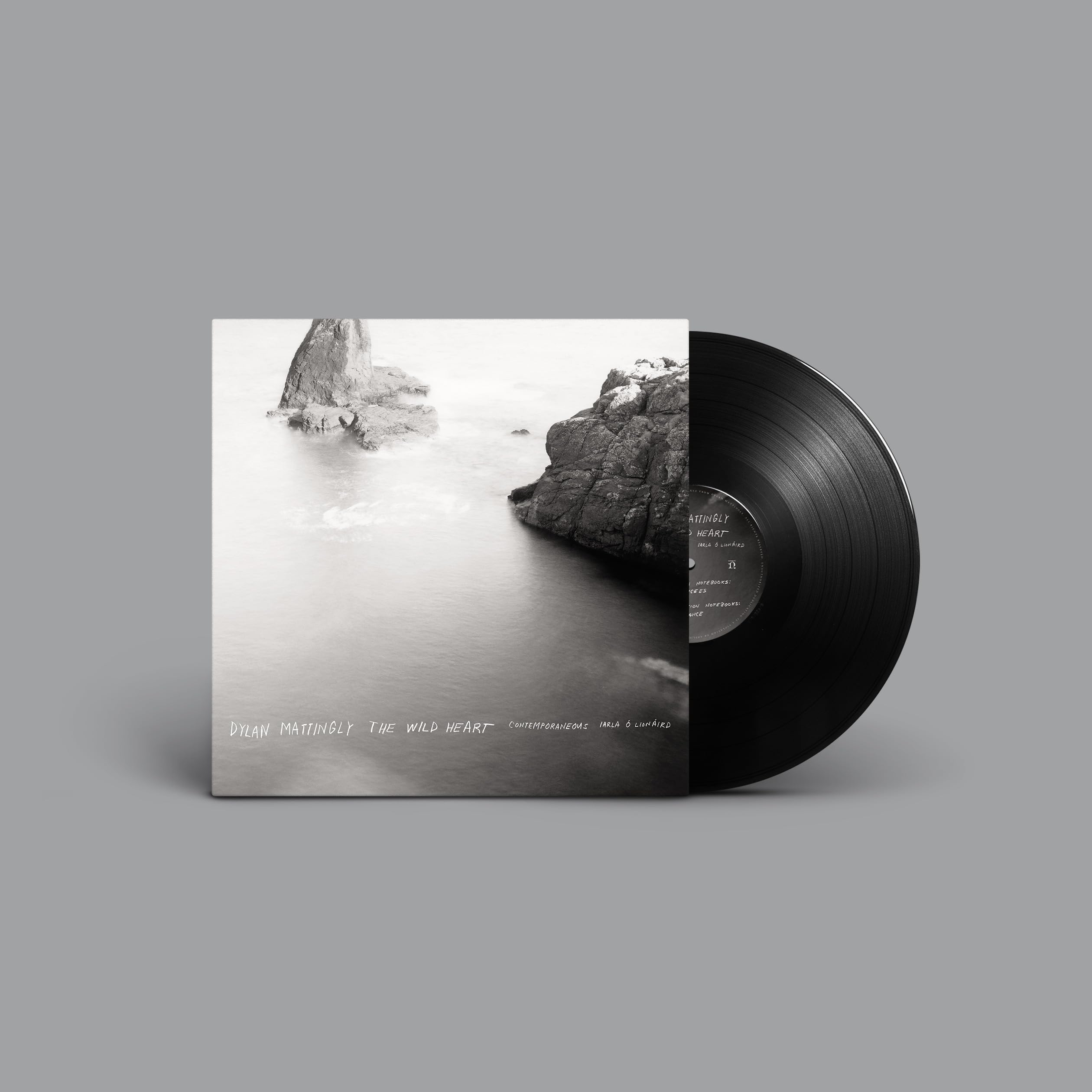 Dylan Mattingly - The Wild Heart [VINYL] 1