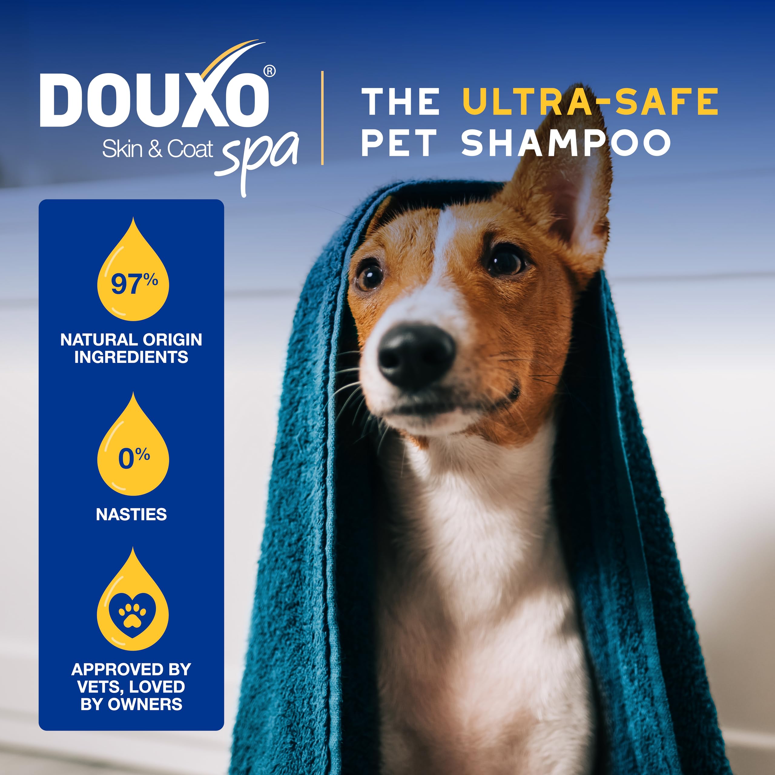 Douxo Skin & Coat SPA Oatmeal Dog Shampoo - Deep Hydration & Cleansing | 250 ml 4