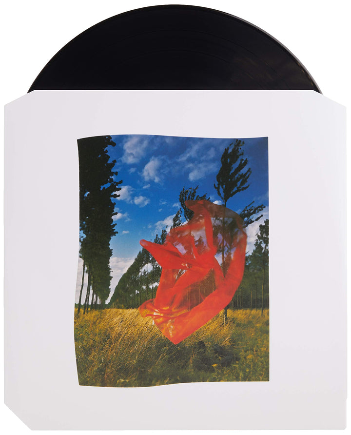 Pink Floyd - Wish You Were Here [Vinyl LP]