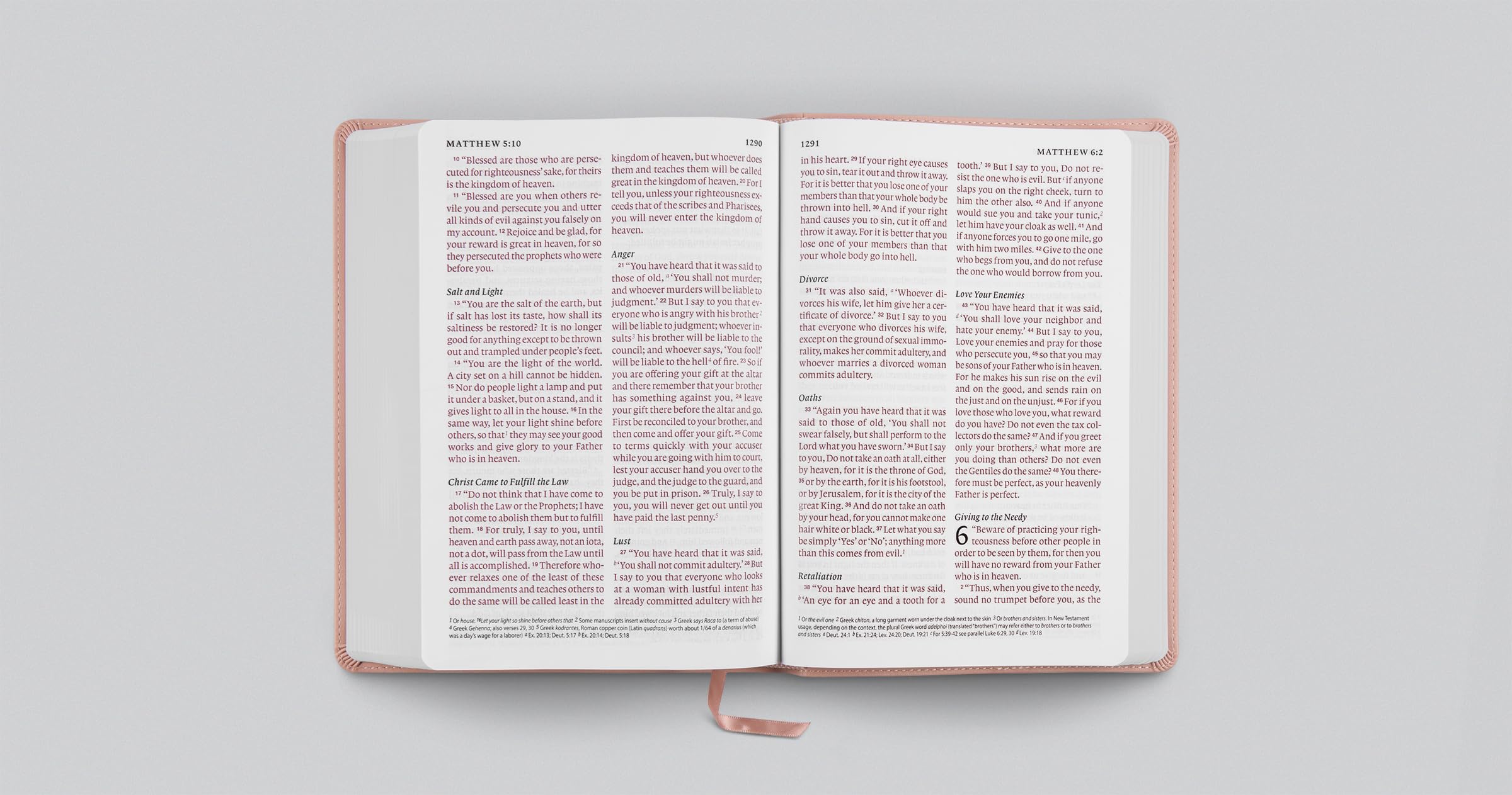 Crossway ESV Giant Print Bible, Red Letter | TruTone Blush Rose Fleur-de-lis Design | 12.25pt Type 4