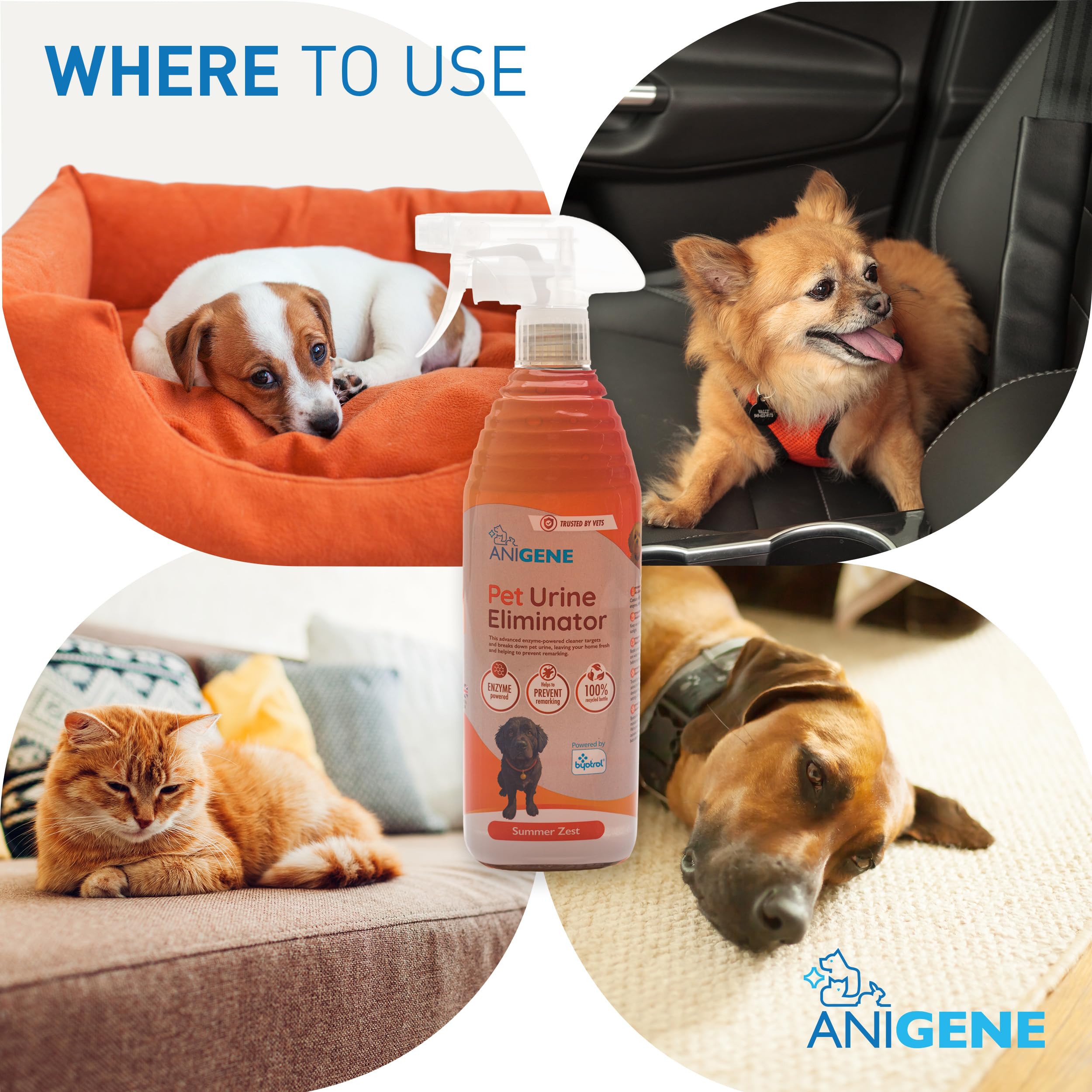Byotrol ANIGENE Pet Urine Eliminator Spray - Enzyme Powered Stain Removal | 750ml Summer Zest 4