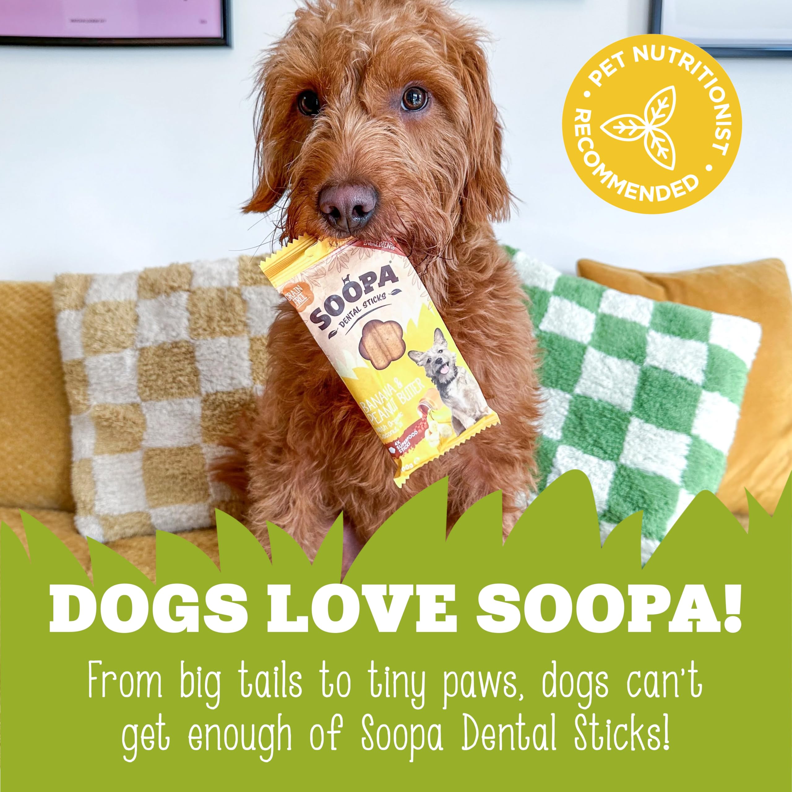 Soopa Grain Free Banana & Peanut Butter Dental Dog Treats - 4 Sticks | Low Fat 7