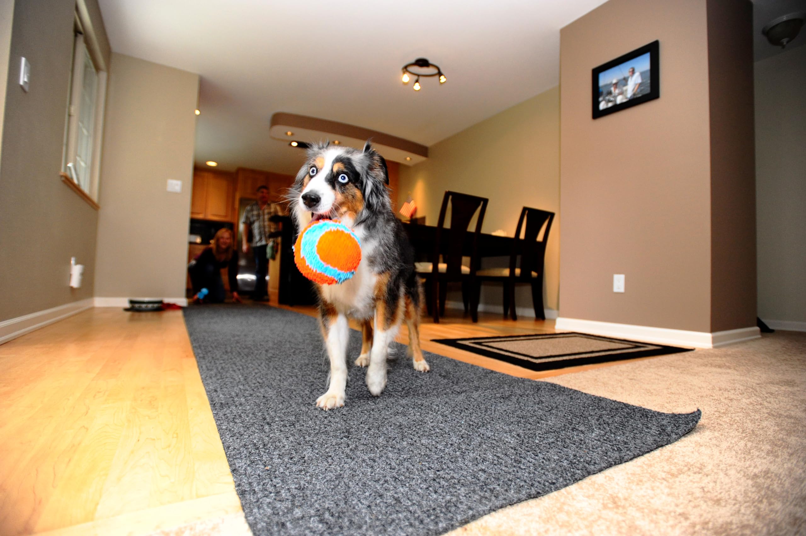 Chuckit! Indoor Ball - Durable Resilient Toy for Small Dogs | 12 cm Diameter 5
