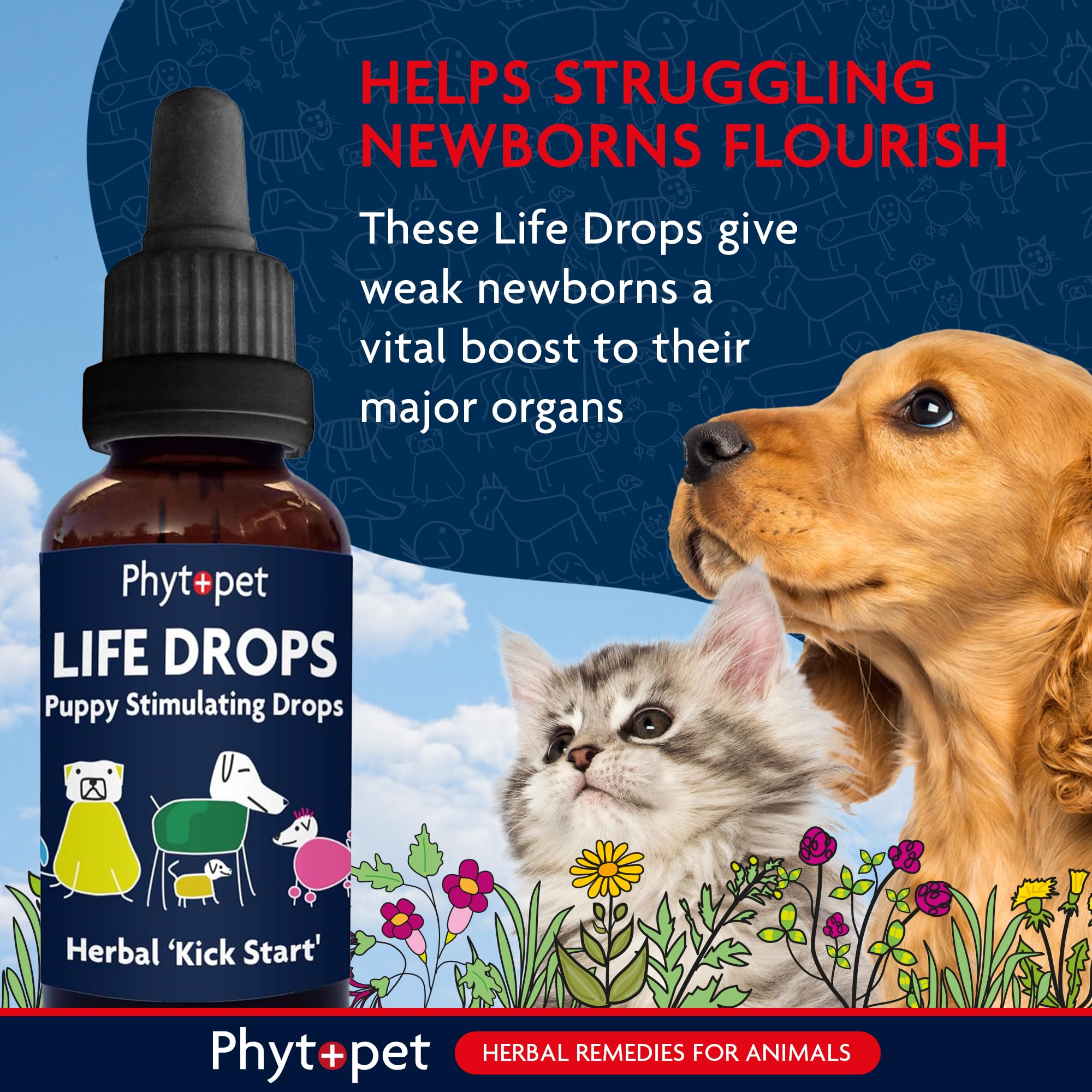 Phytopet Life Drops - Natural Herbal Stimulant for Newborn & Elderly Pets | 10 ml 2