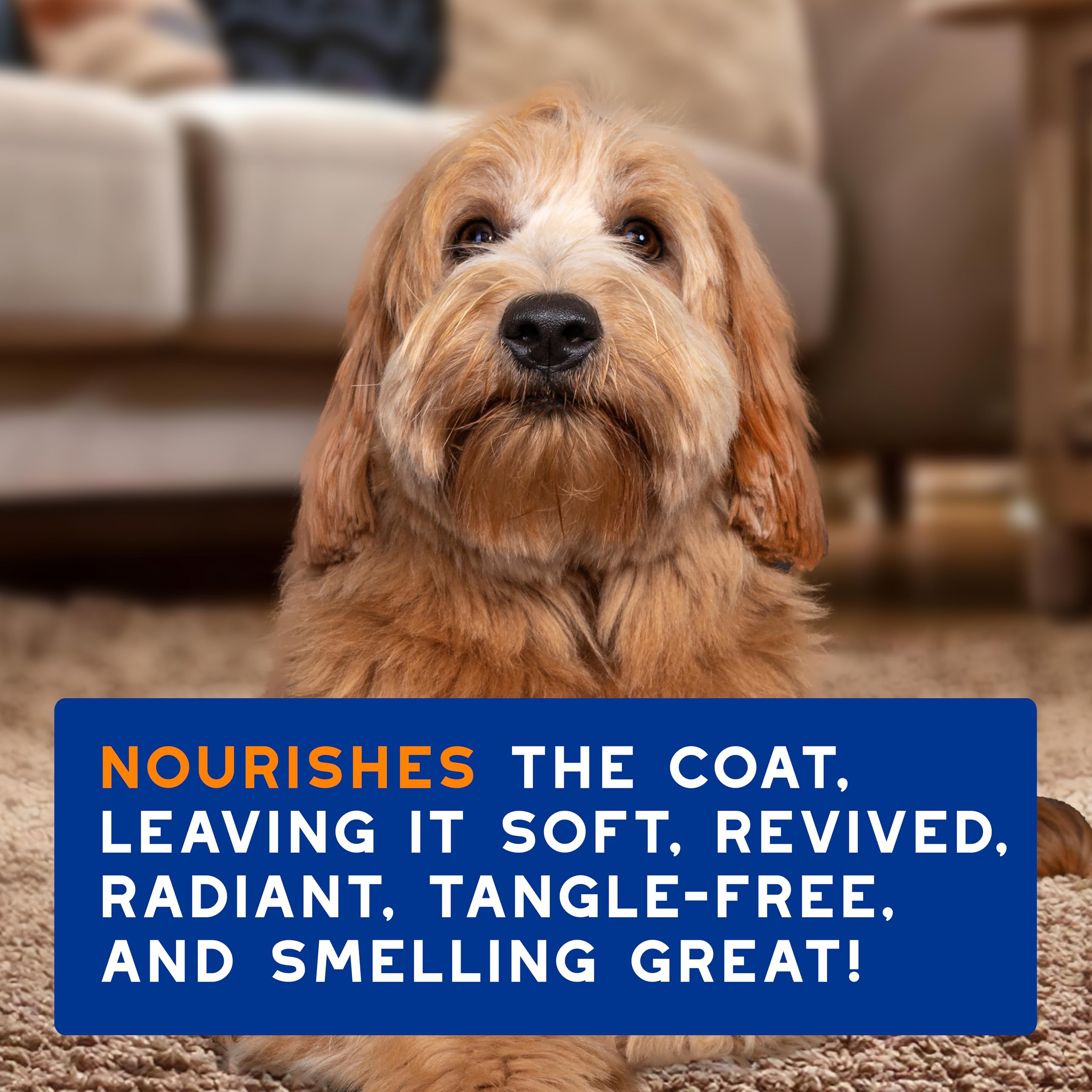 Douxo Skin & Coat SPA Detangling Spray for Dogs - Hypoallergenic Coco Vanilla Scent | 295ml 7