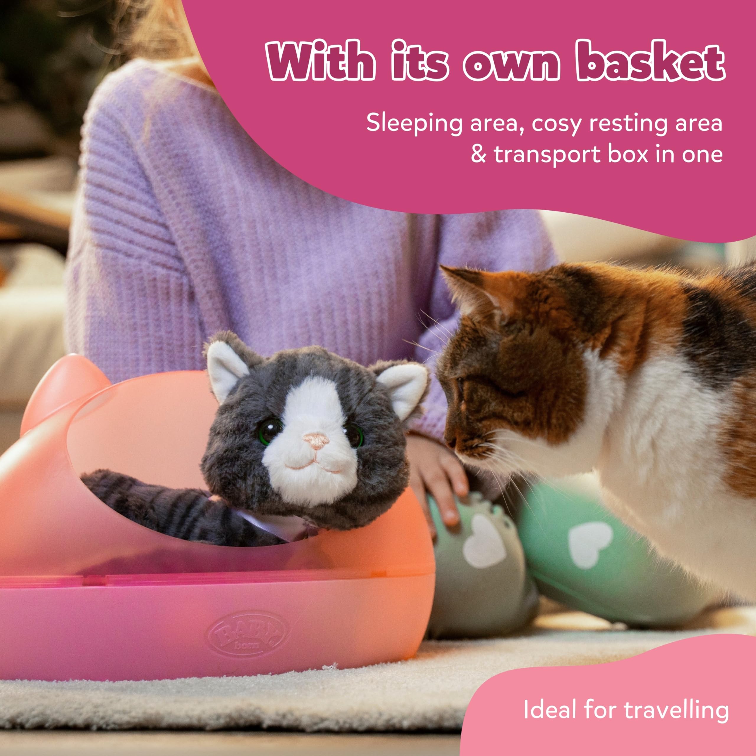 BABY born My Cat Cookie - Interactive Plush Kitten with Cat Bed for Toddlers 1+ 2