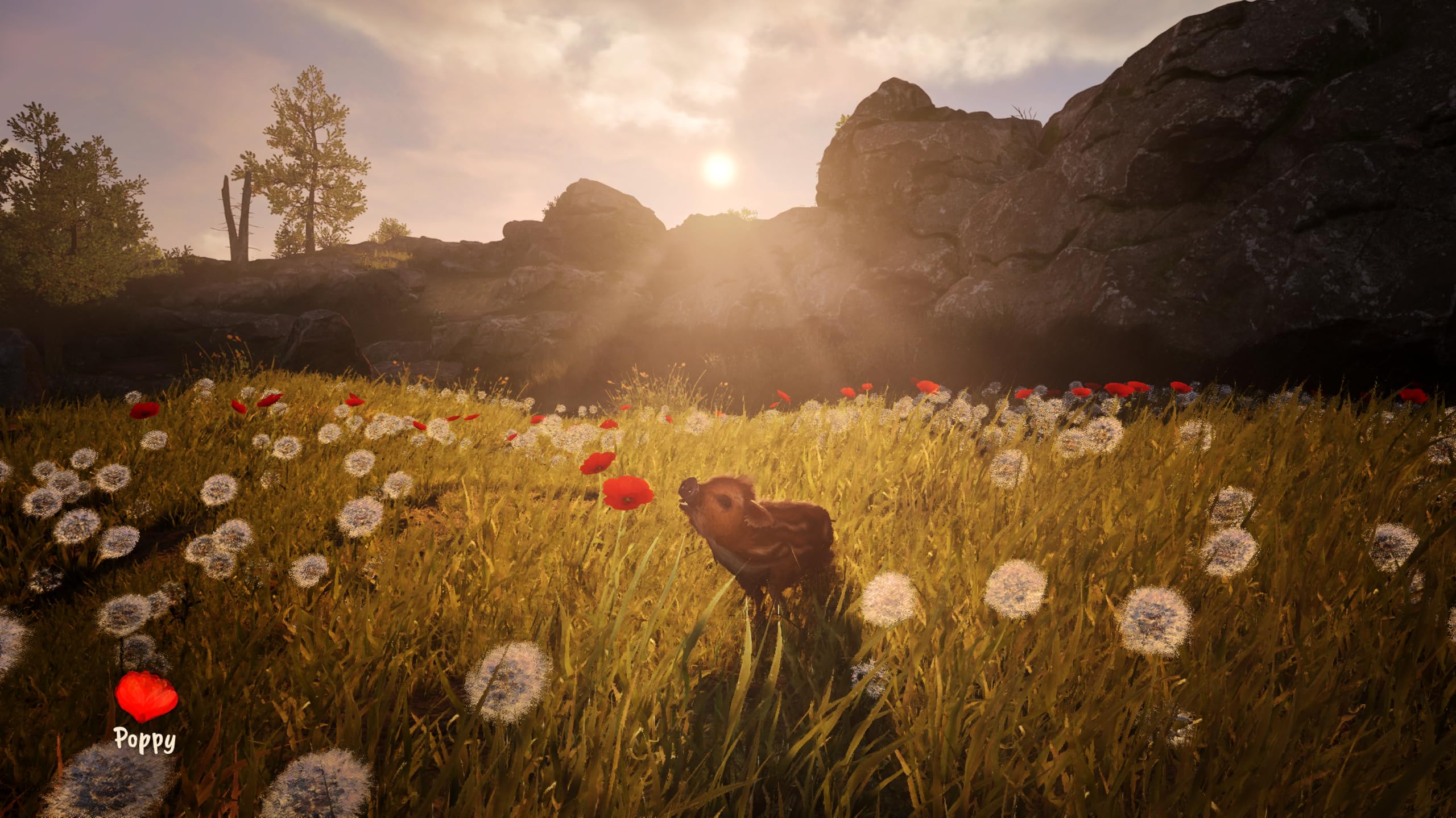 Adorable Adventures [PS5] 6