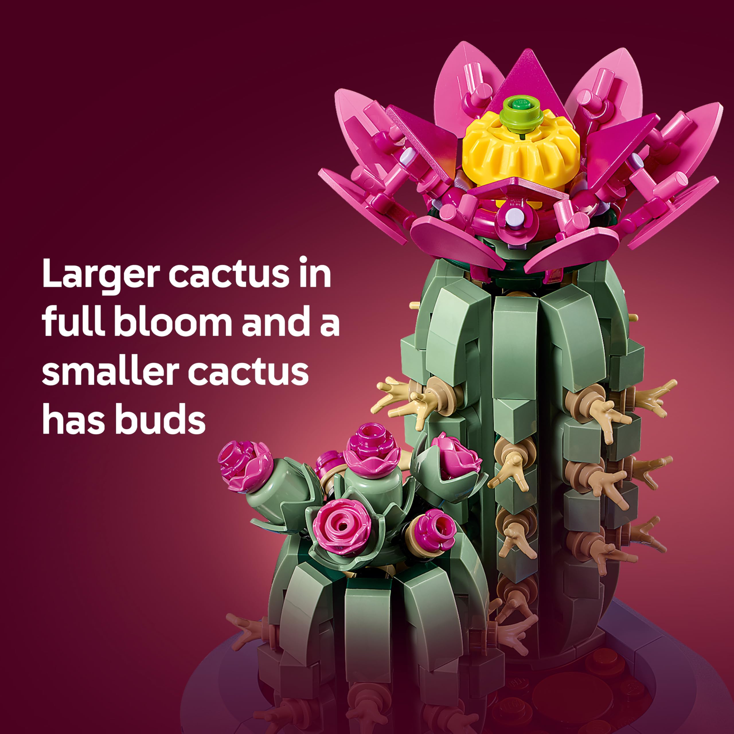 LEGO Botanicals Flowering Cactus Building Set 11509 | 2 Artificial Plants | Ages 9+ 4
