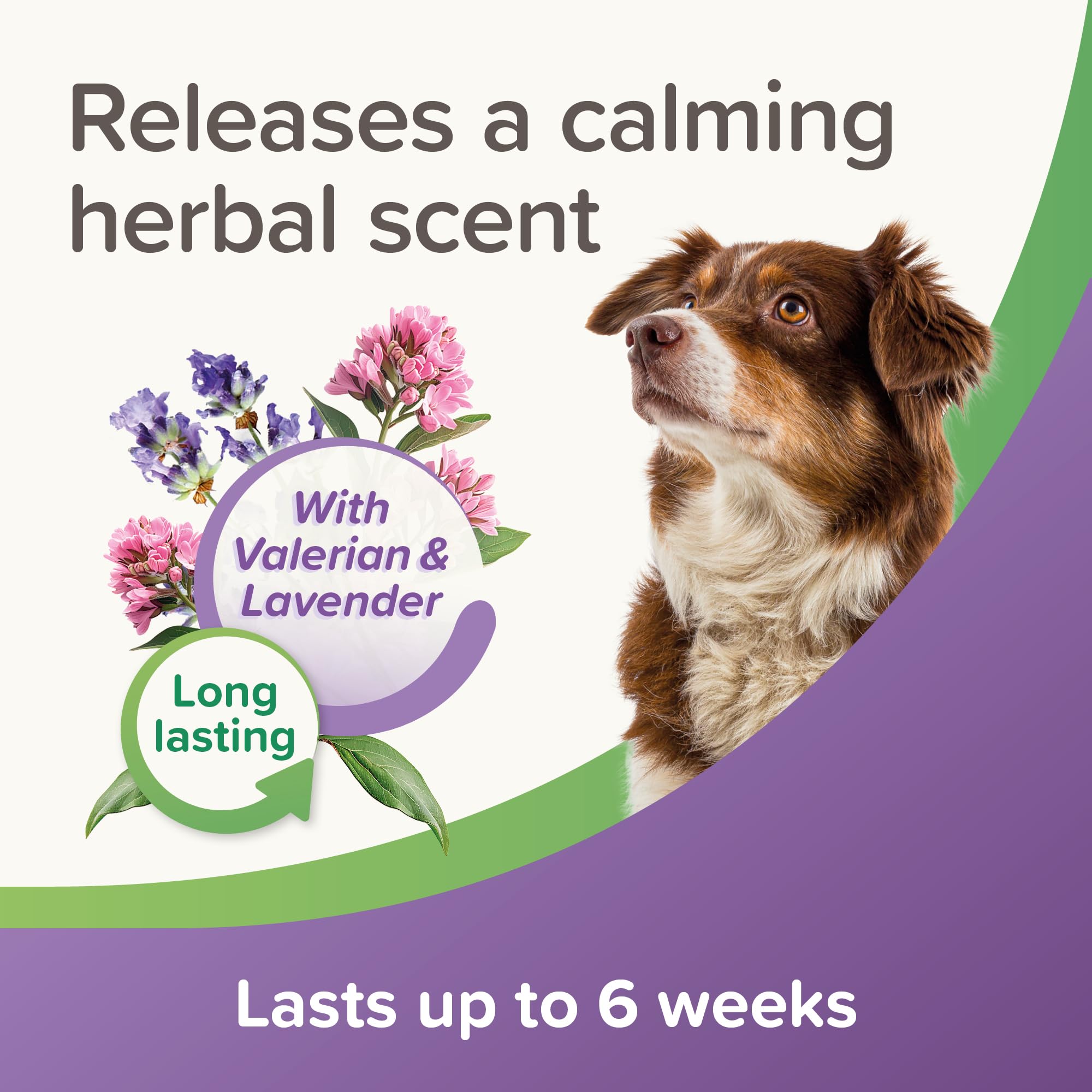 Beaphar StressLess Herbal Calming Collar for Dogs - Reduces Anxiety | Lasts 6 Weeks 4