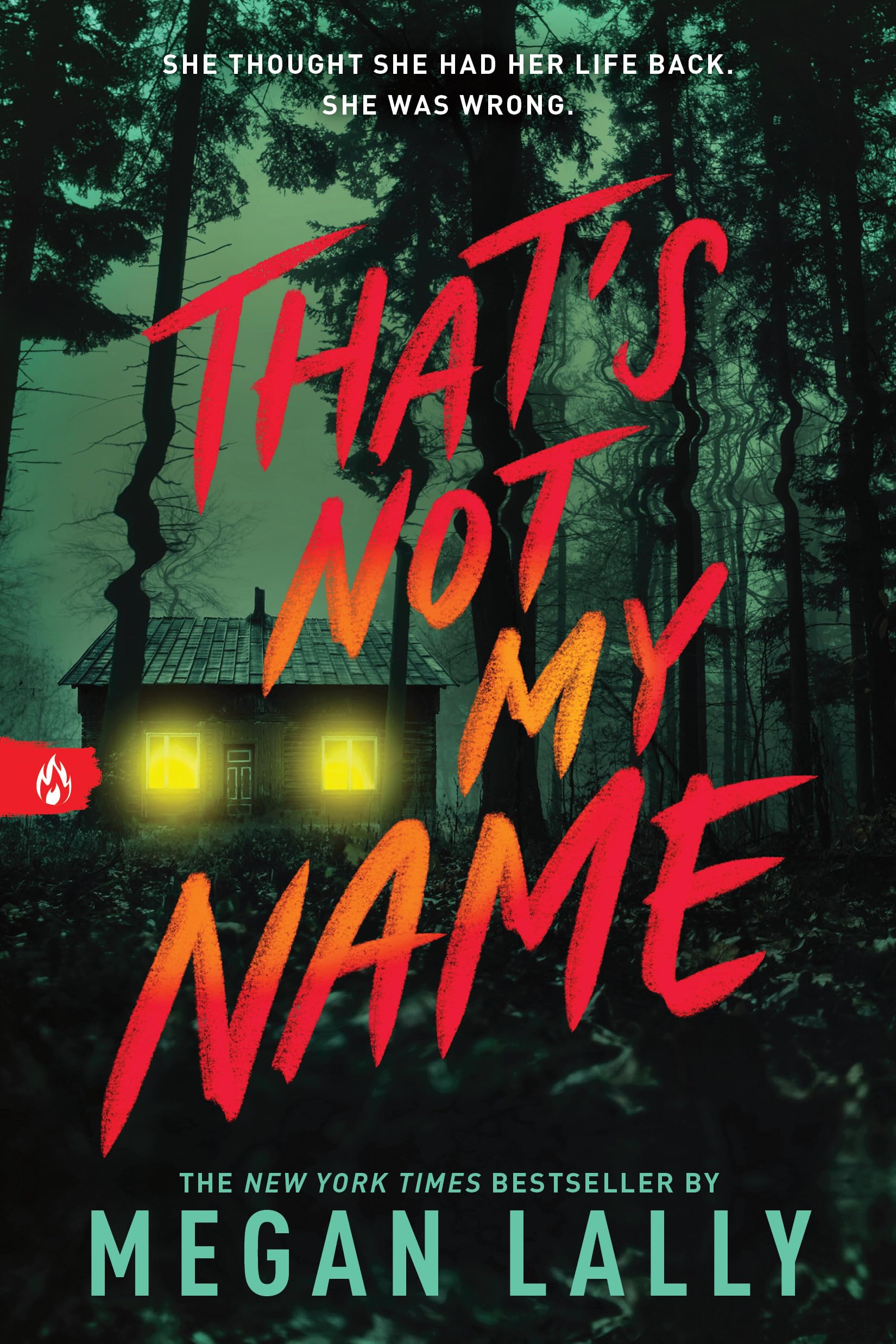 That's Not My Name by Megan Lally | Young Adult Thriller | Paperback 1