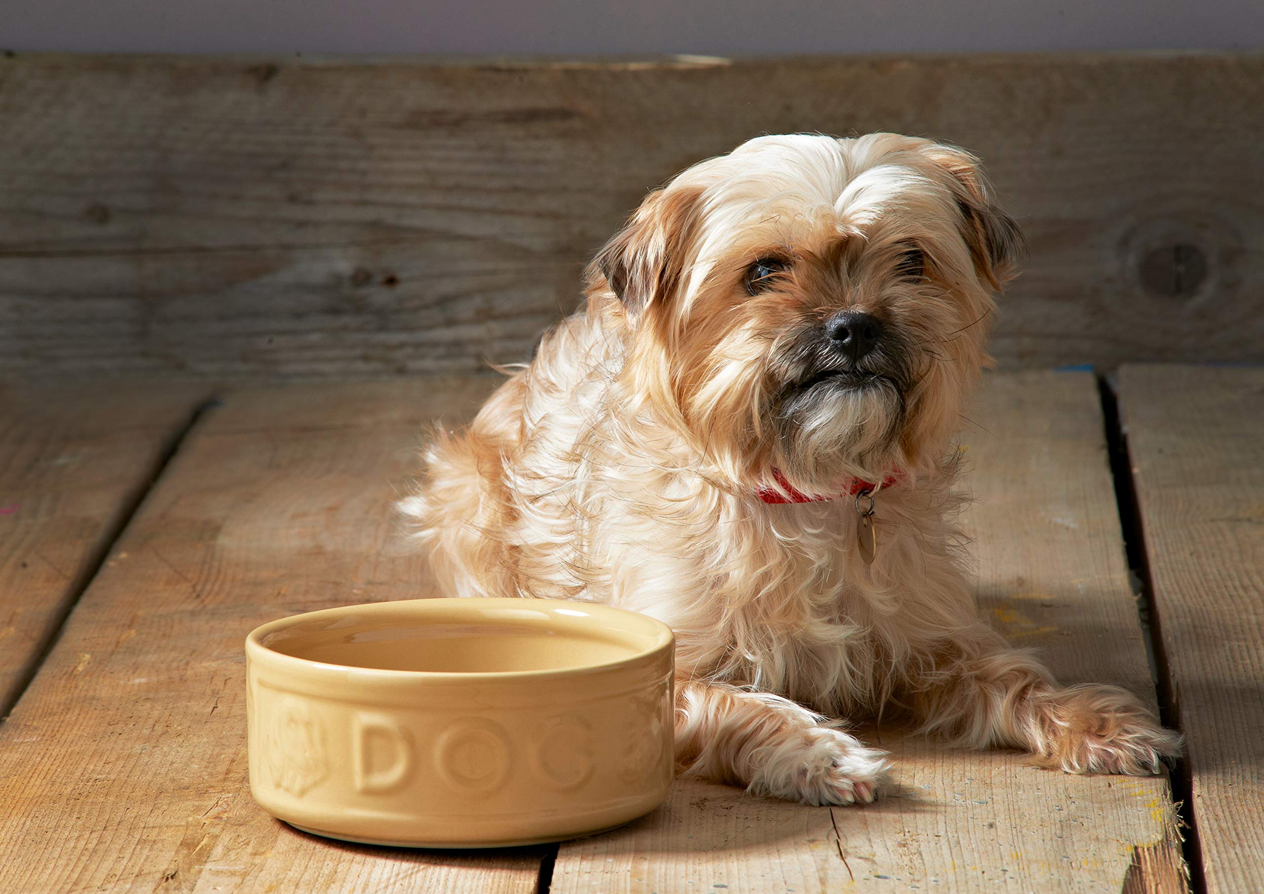 Mason Cash Cane Lettered Stoneware Dog Bowl - 1.2L Capacity | Durable | Medium/Large Breeds 4