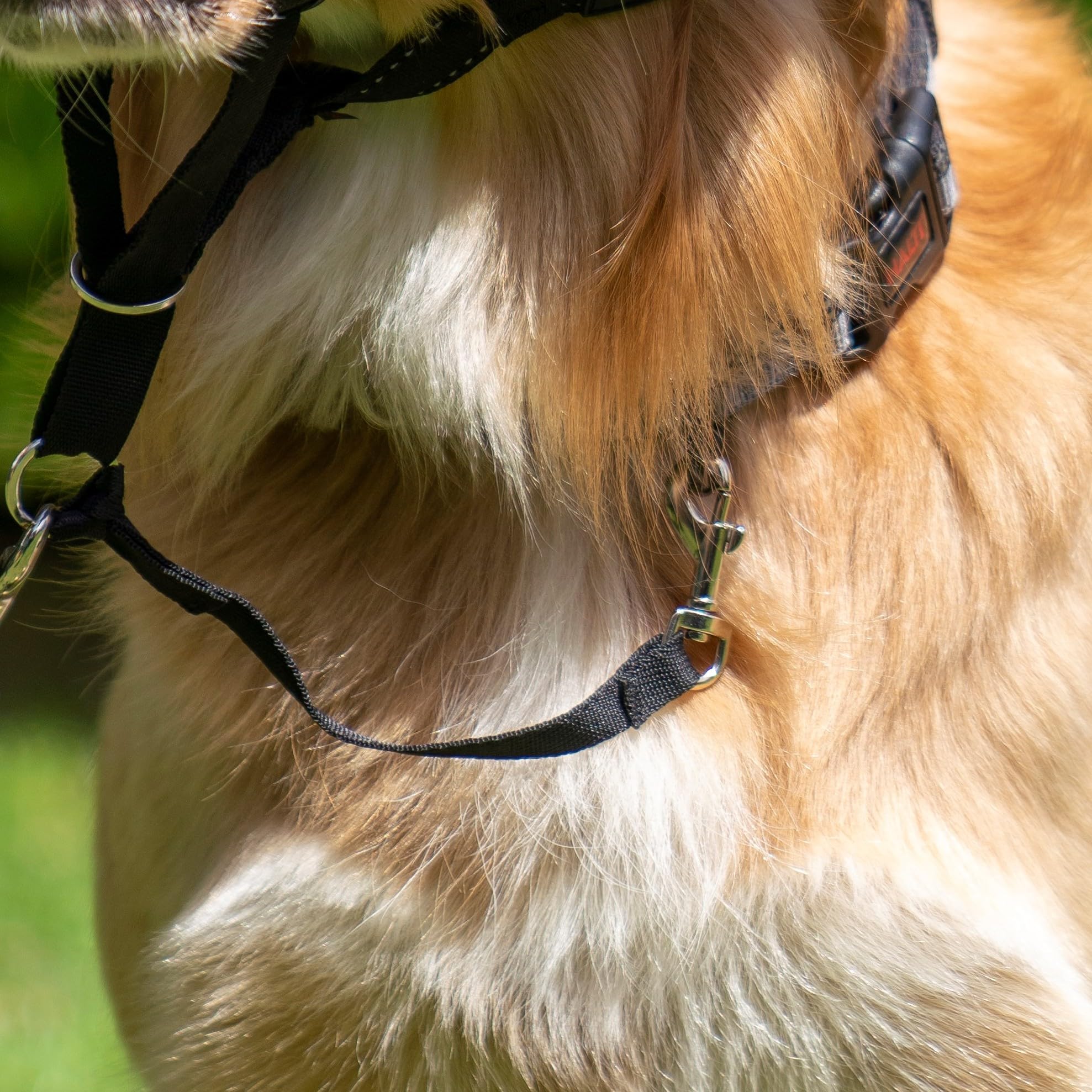 Halti Dog Headcollar Safety Link - Connects Headcollar to Neck Collar | Nylon | Black 2