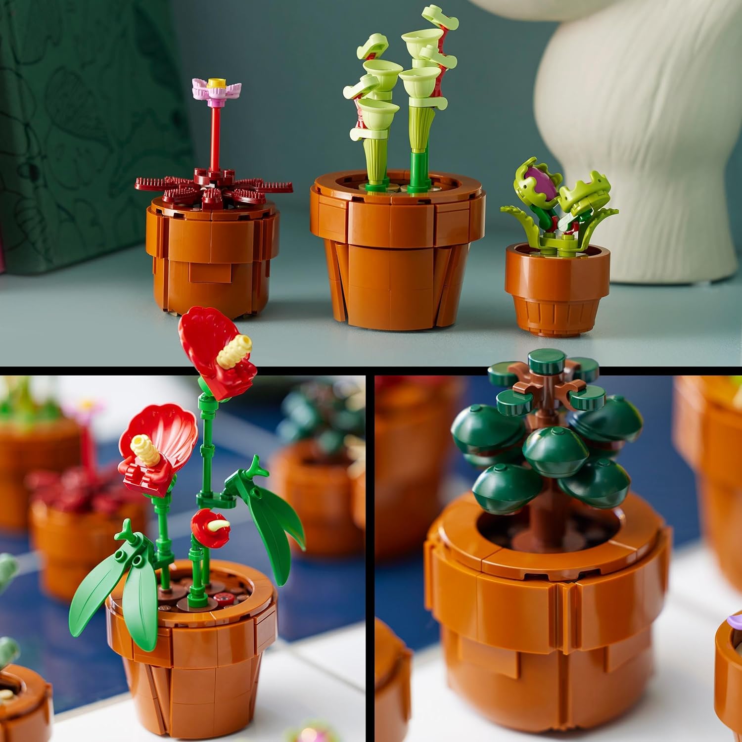LEGO Icons Tiny Plants 10329 – Botanische Sammlung Bauset für Erwachsene 4